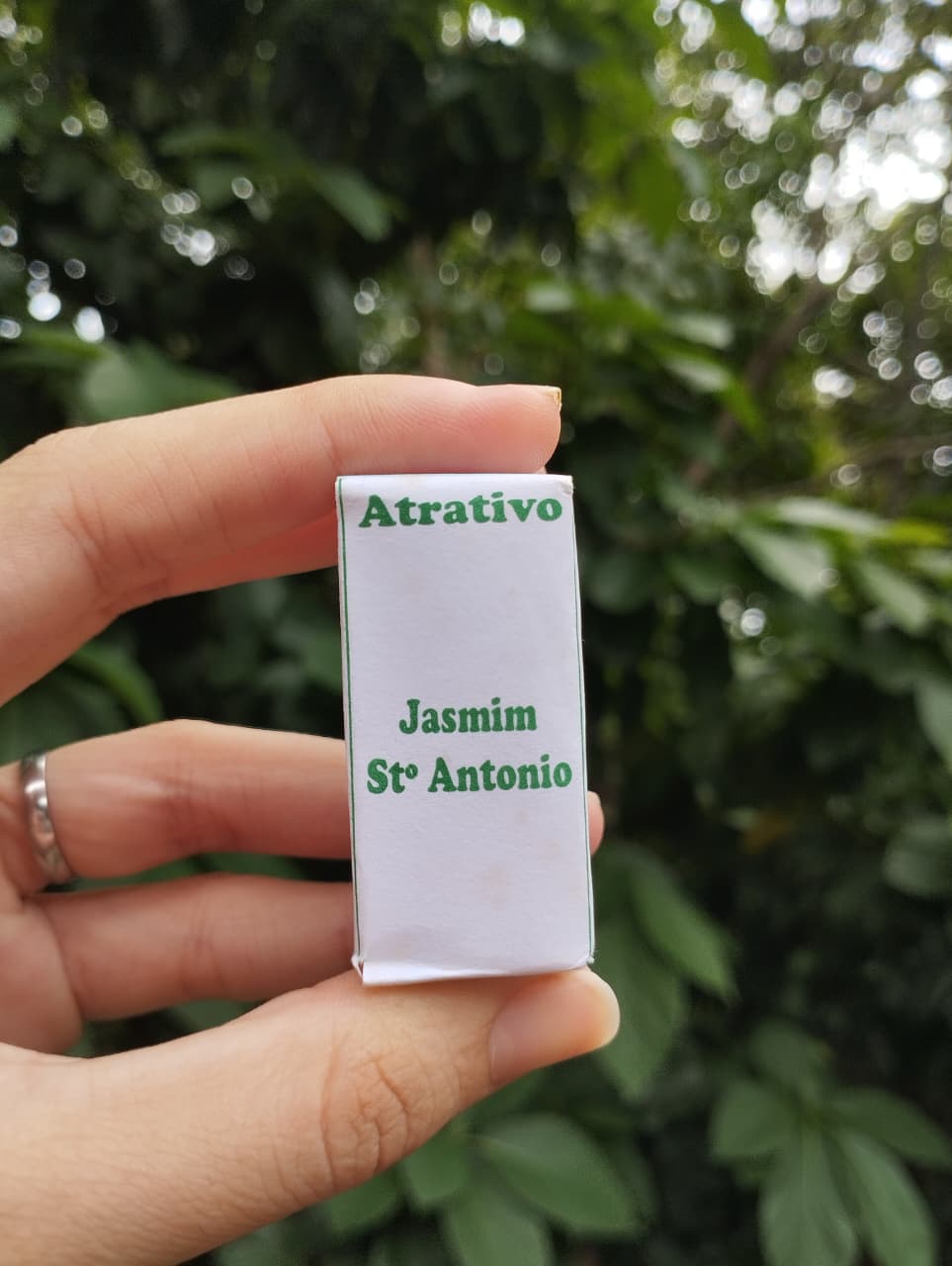 Jasmim Santo Antônio