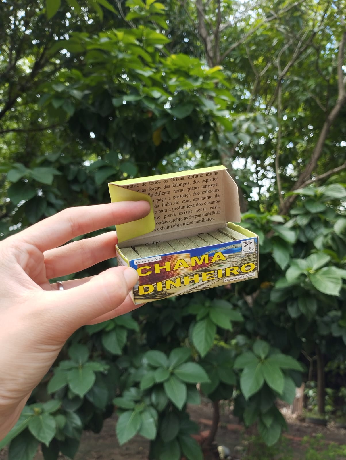 Defumador Chama Dinheiro