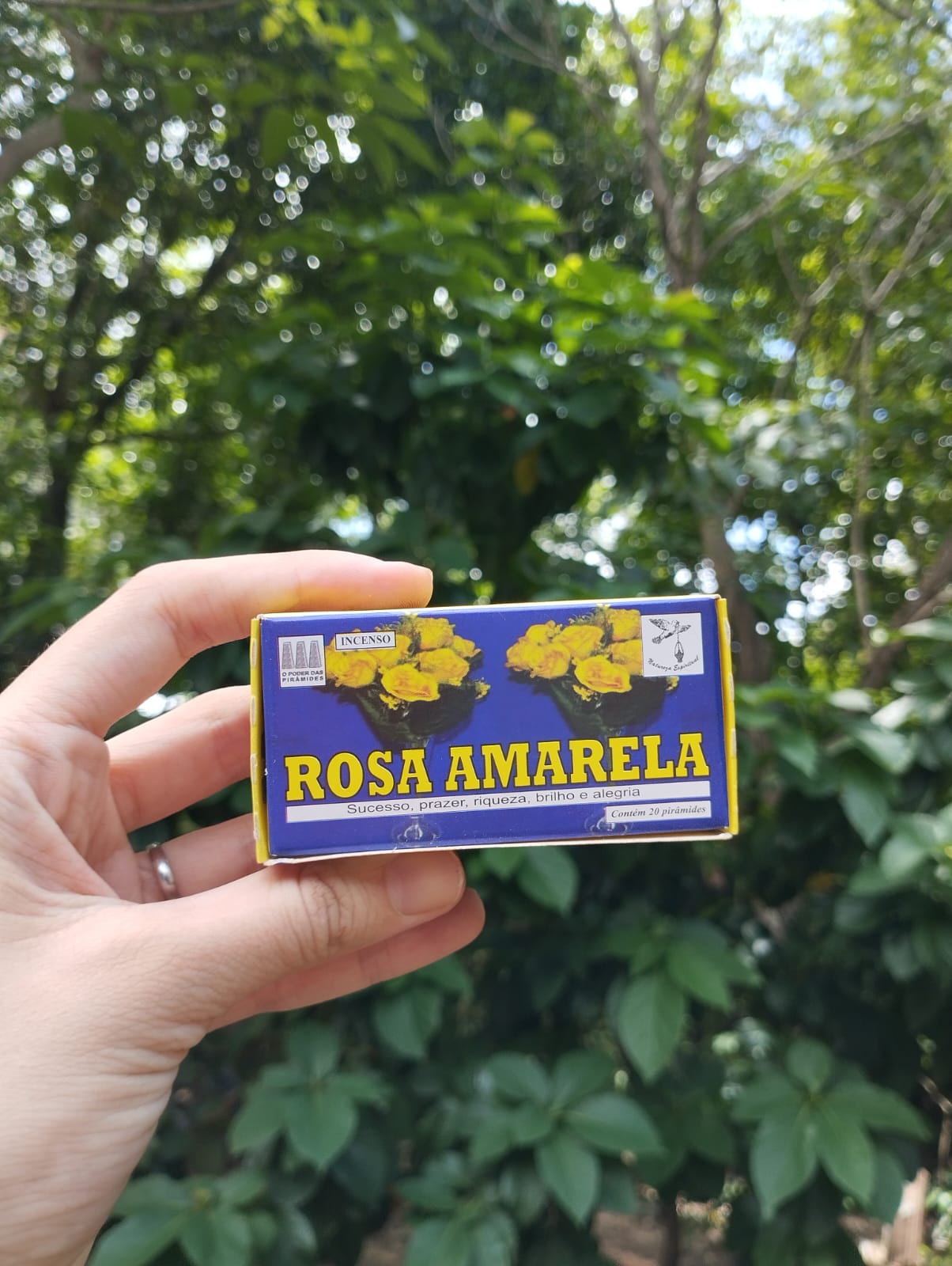 Defumador Rosa Amarela