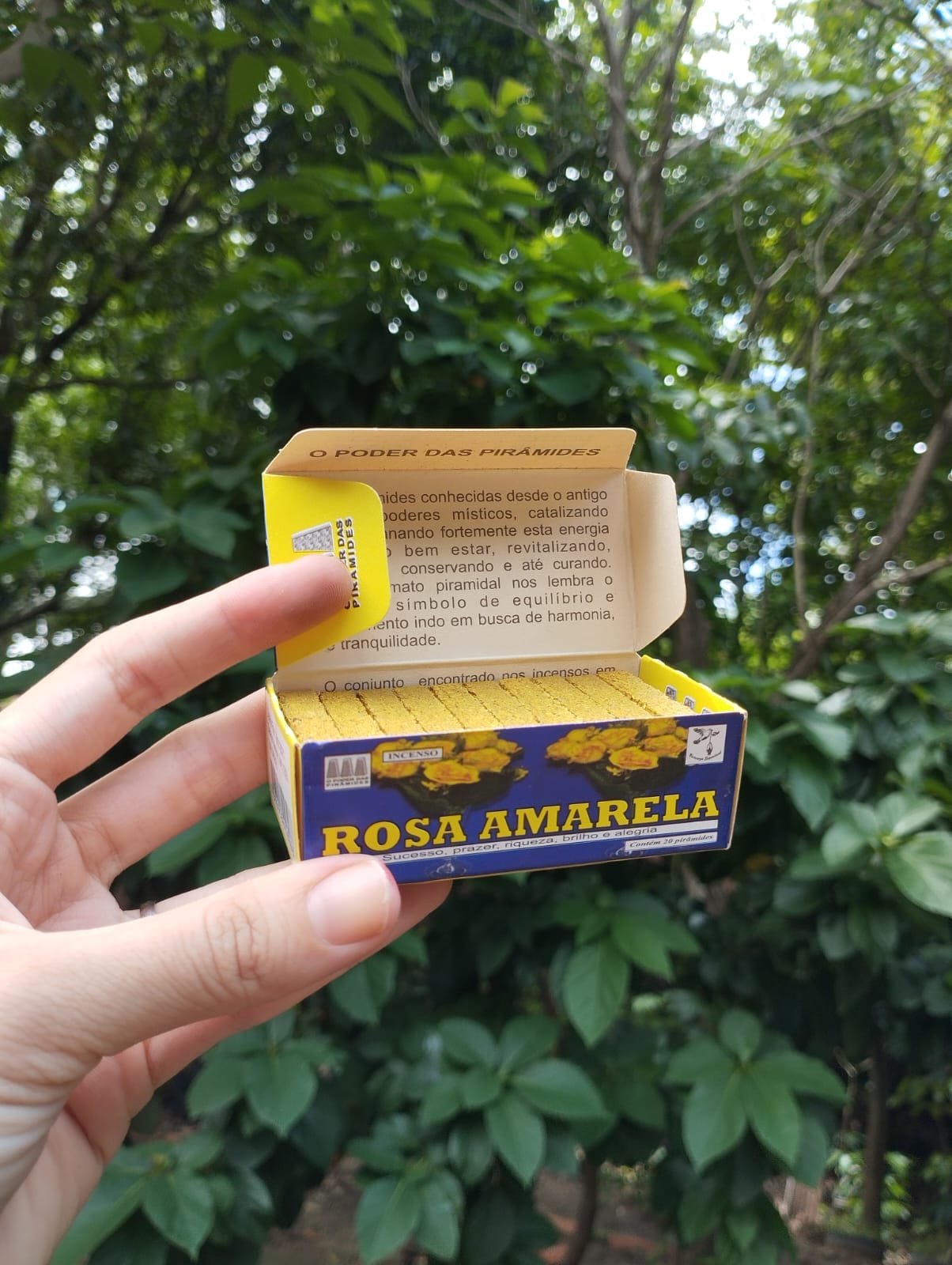 Defumador Rosa Amarela