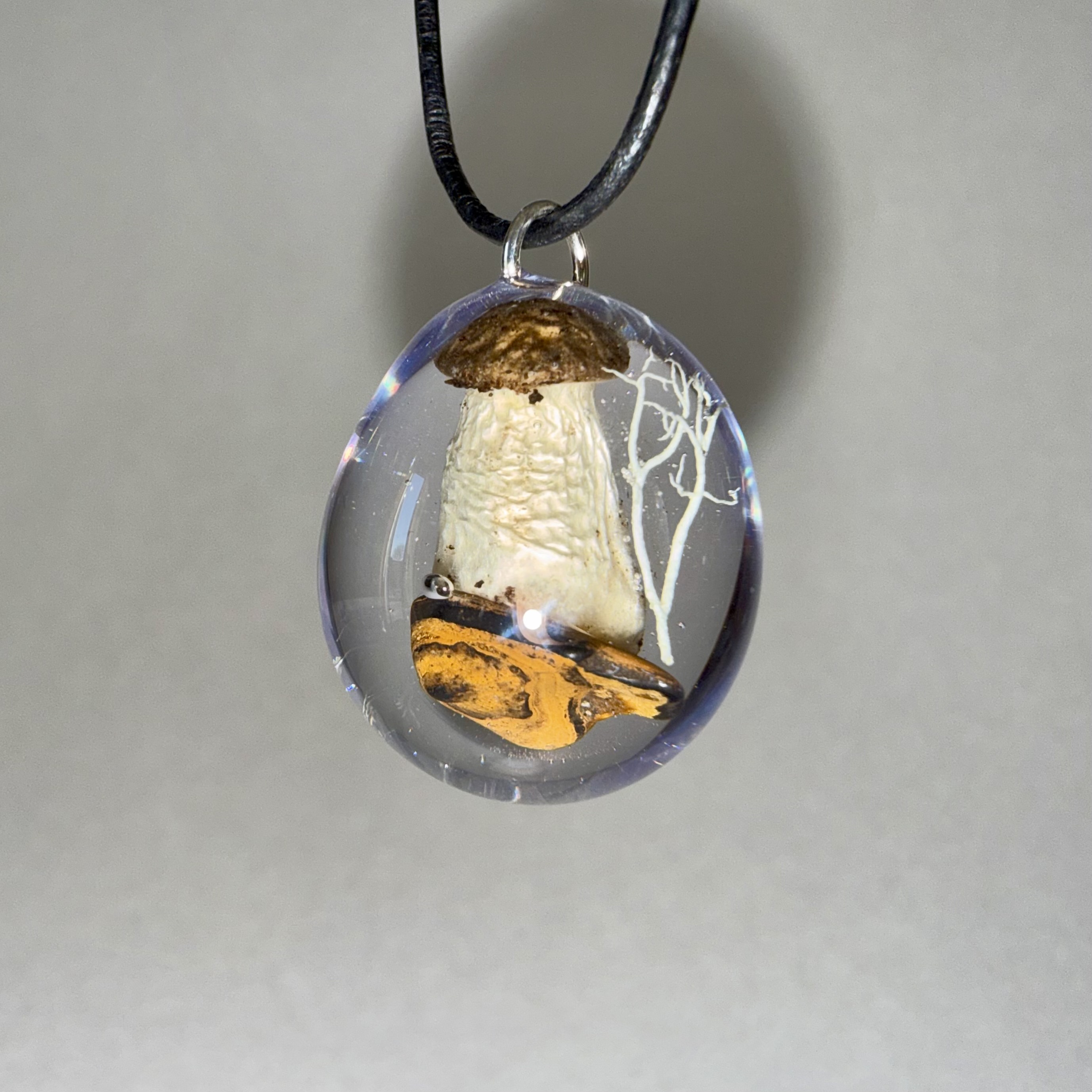 Clitocybe + Tiger's Eye + Lichen