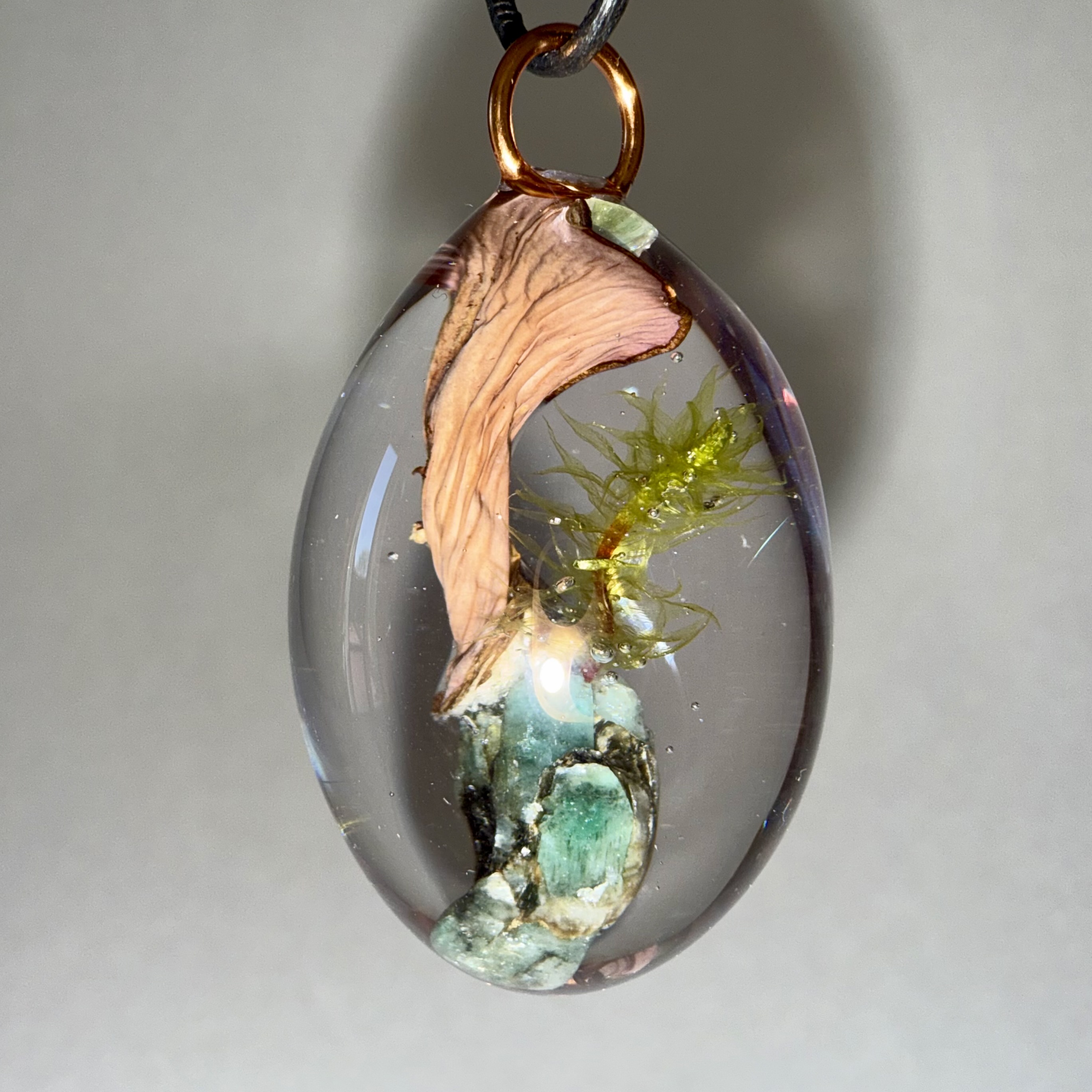 Pig's Ear + Red Veined Moss + Emerald