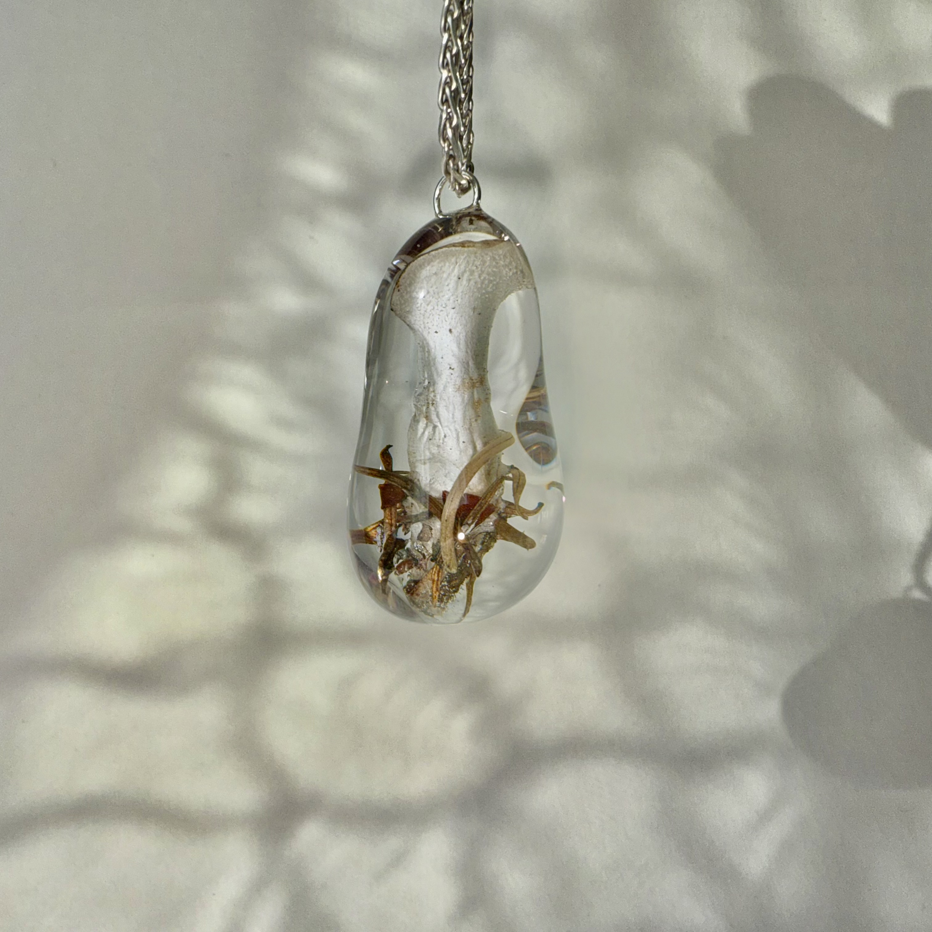 Cat's Tongue + Pine Needles