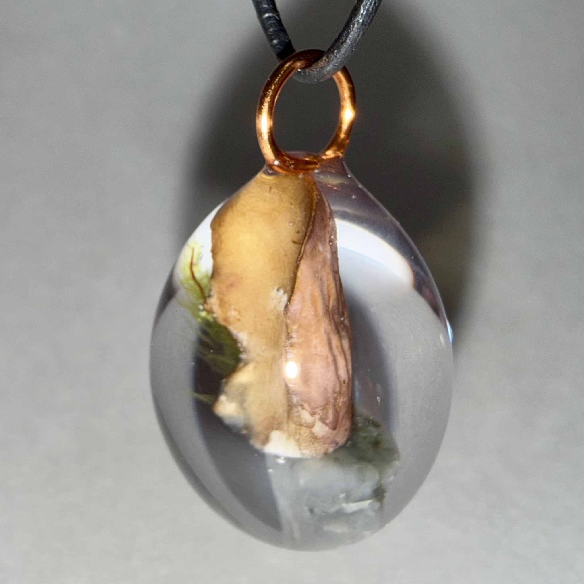 Pig's Ear + Red Veined Moss + Emerald