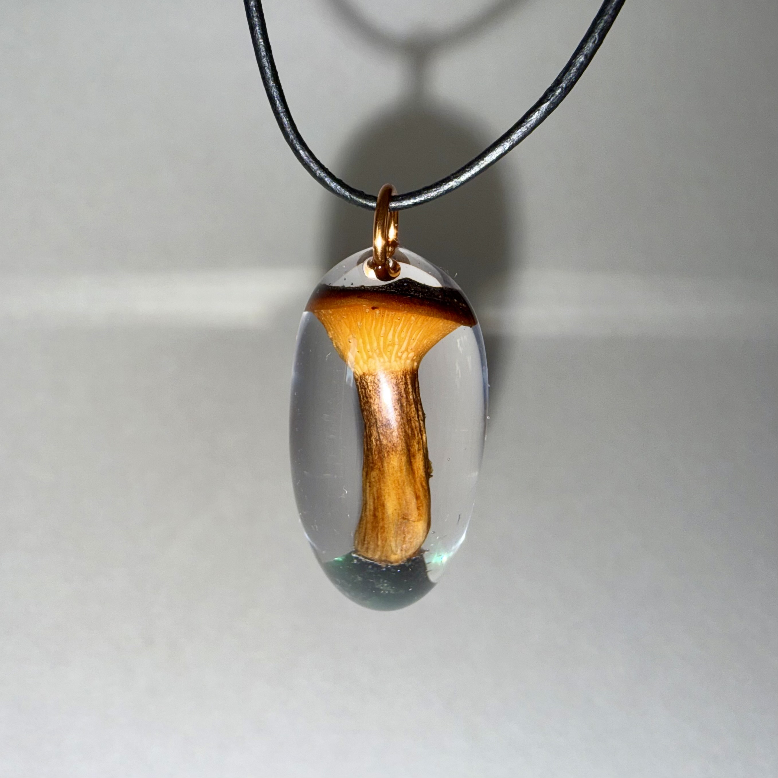 Hygrophoropsis rufa + Emerald