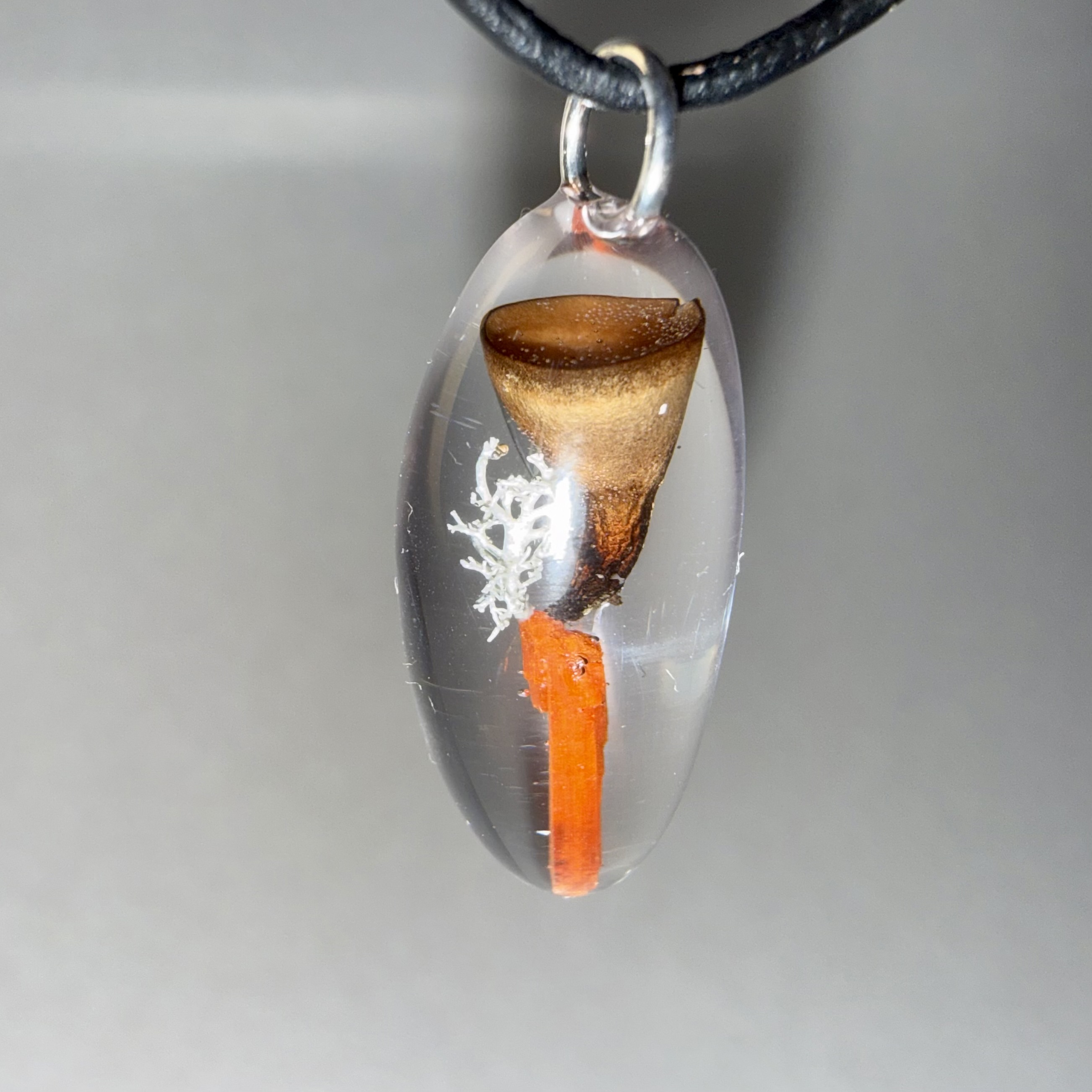 Cup + Lichen + Crocoite 