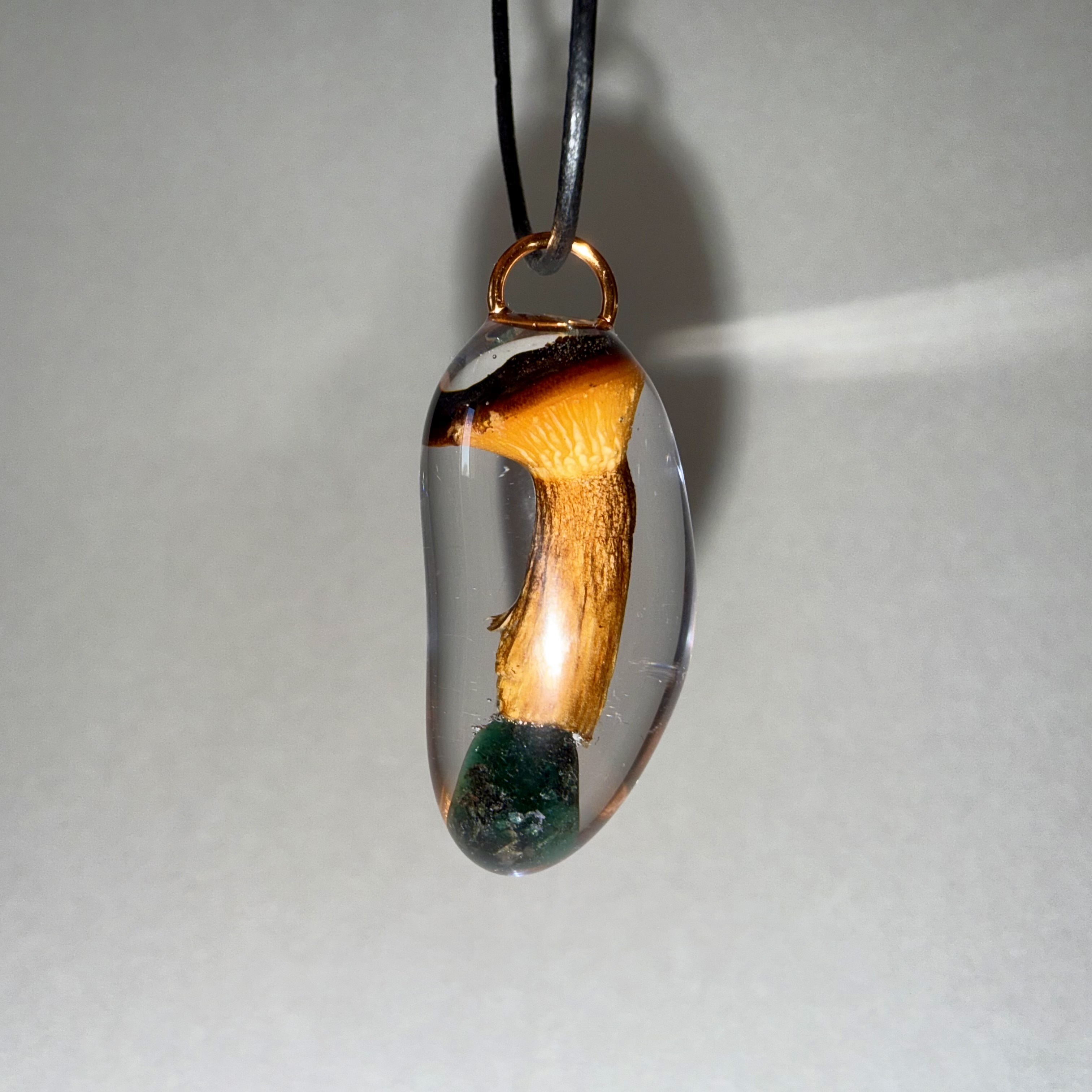 Hygrophoropsis rufa + Emerald