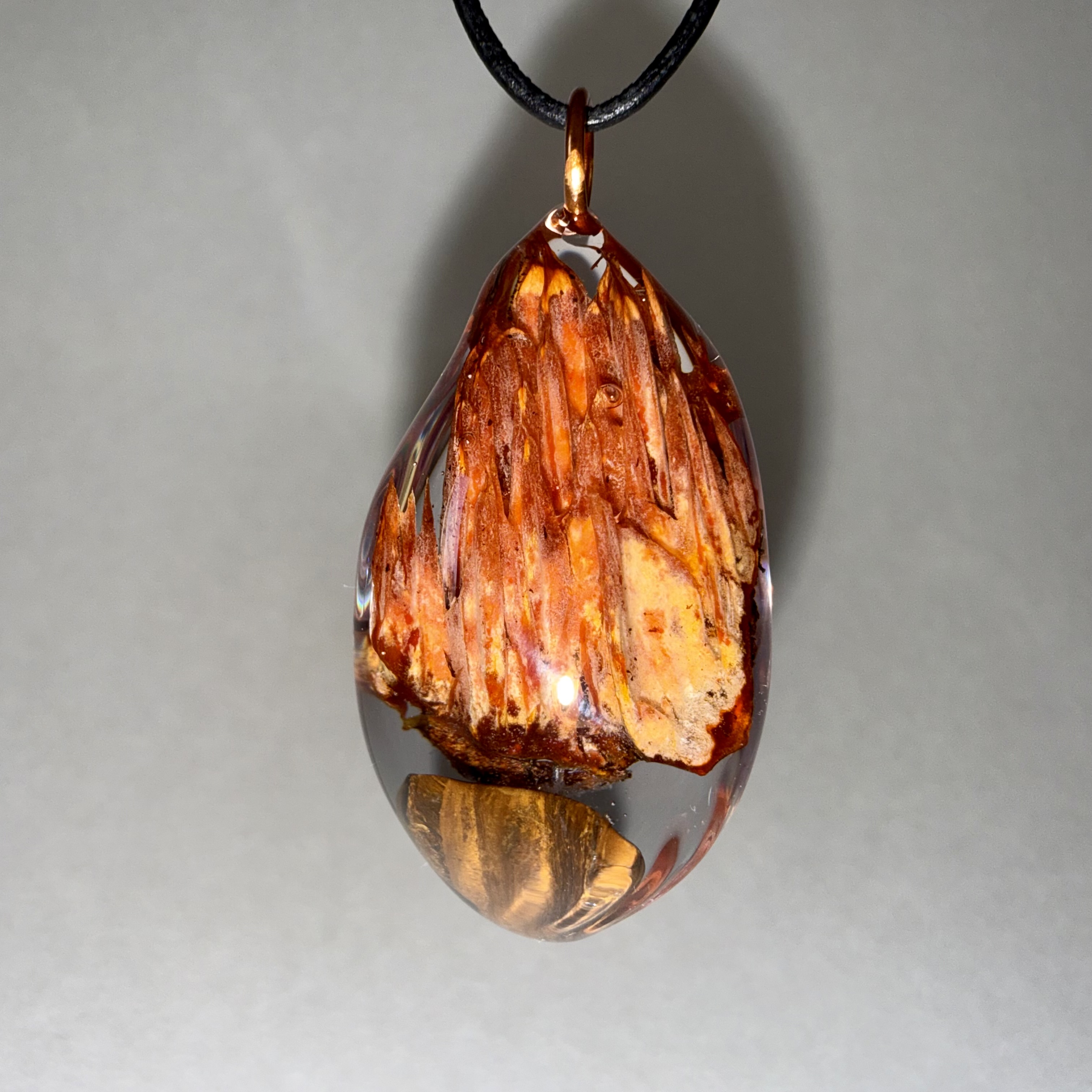 Pycnoporellus + Tiger's Eye