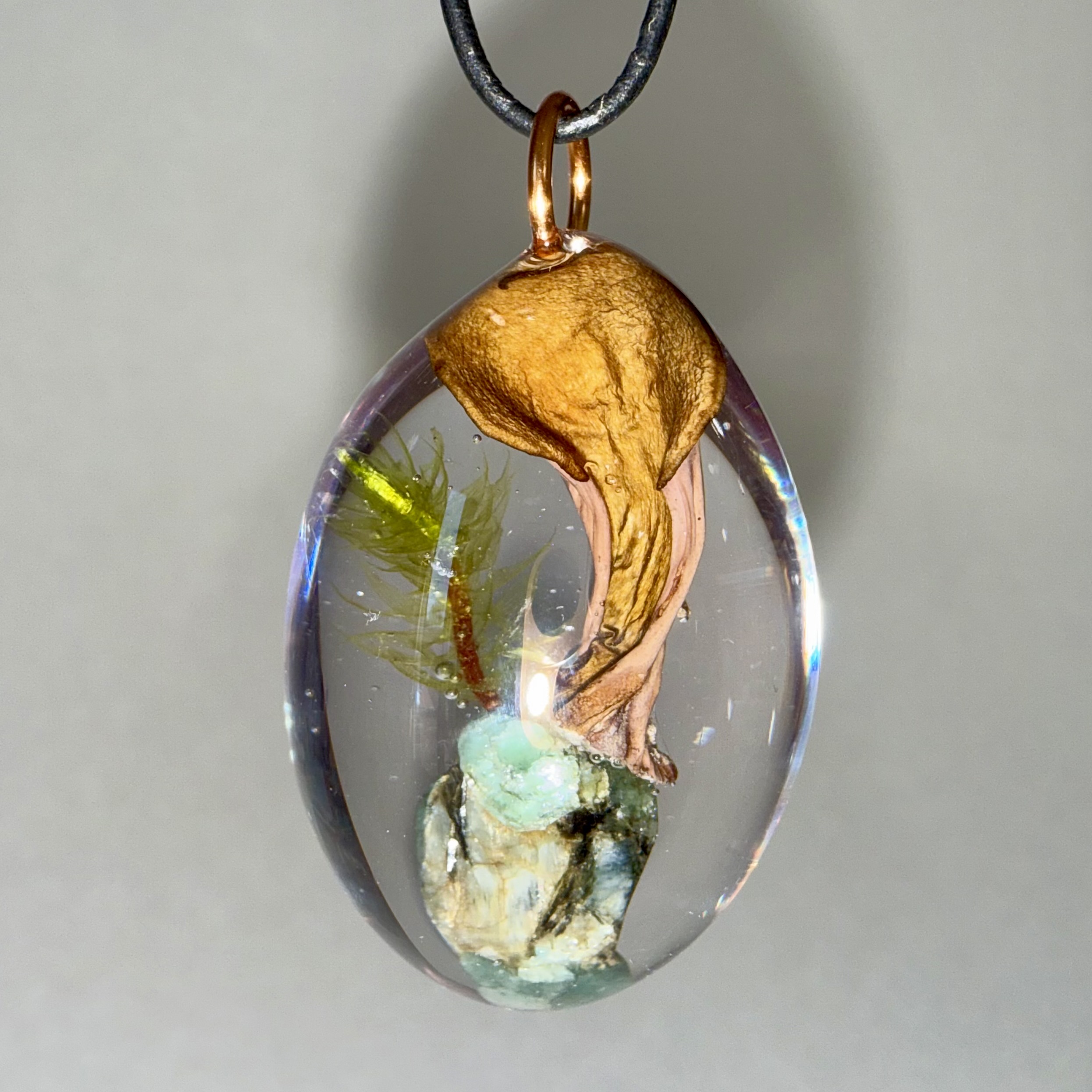 Pig's Ear + Red Veined Moss + Emerald