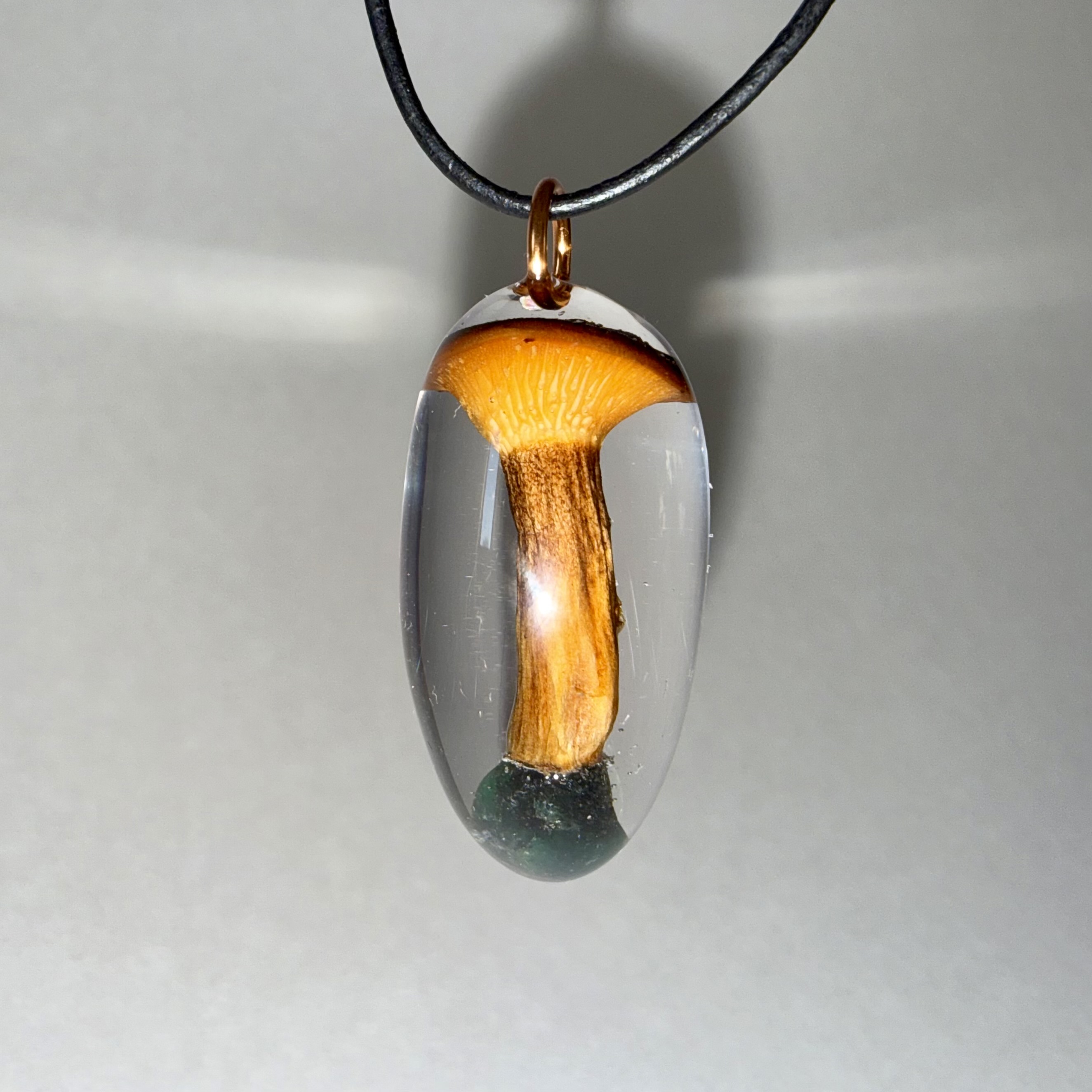 Hygrophoropsis rufa + Emerald