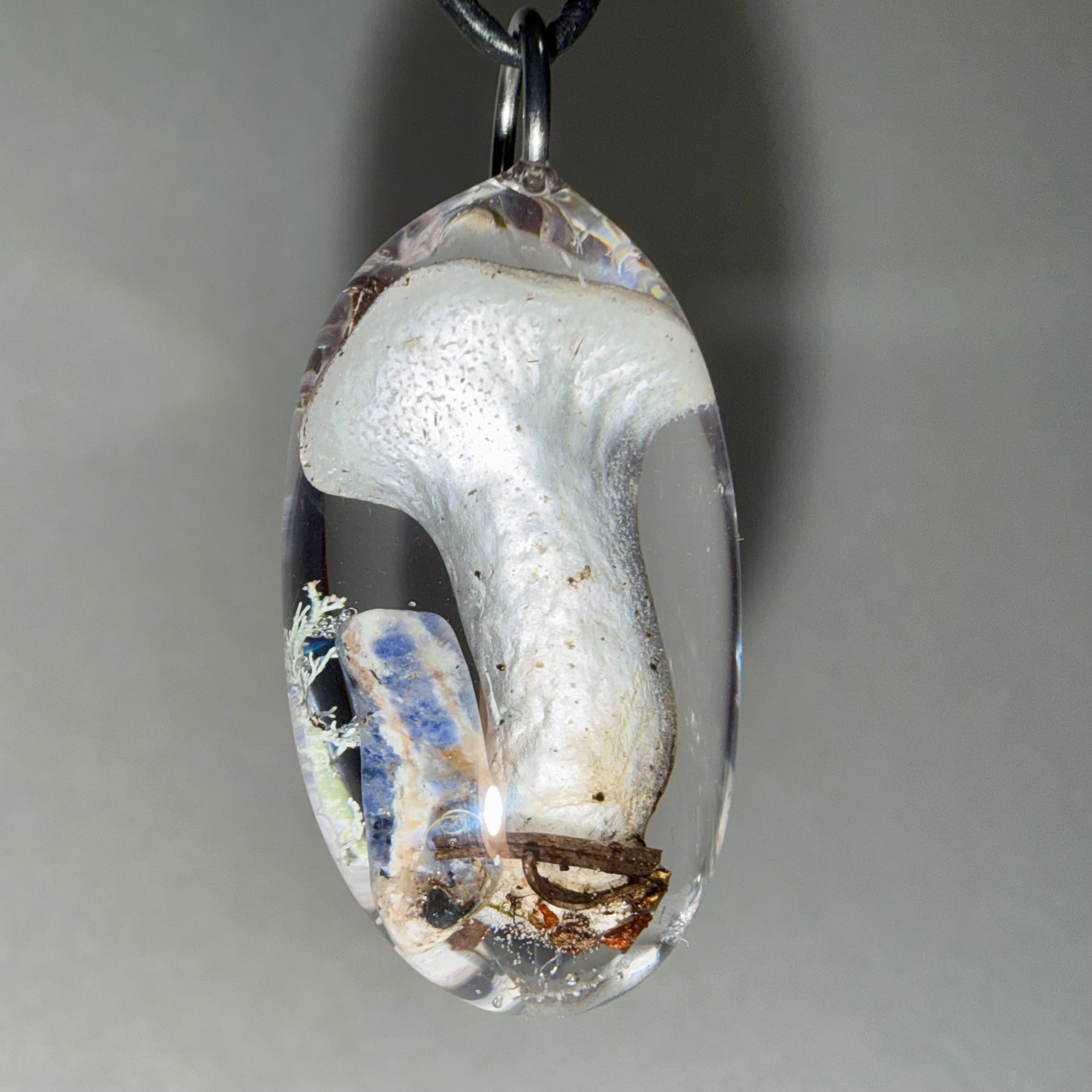 Cat's Tongue + Lichen + Sodalite