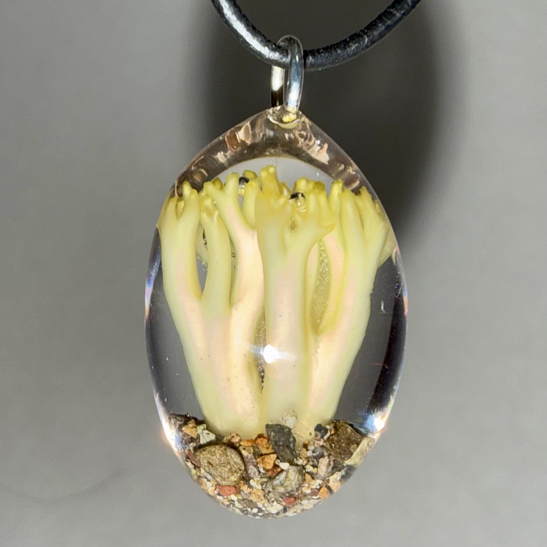 Yellow Coral Mushroom + Sand