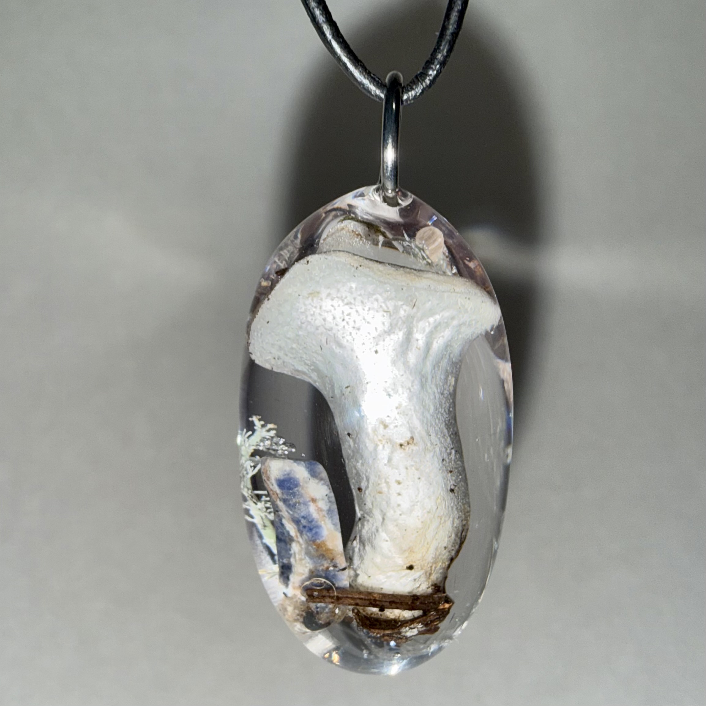 Cat's Tongue + Lichen + Sodalite