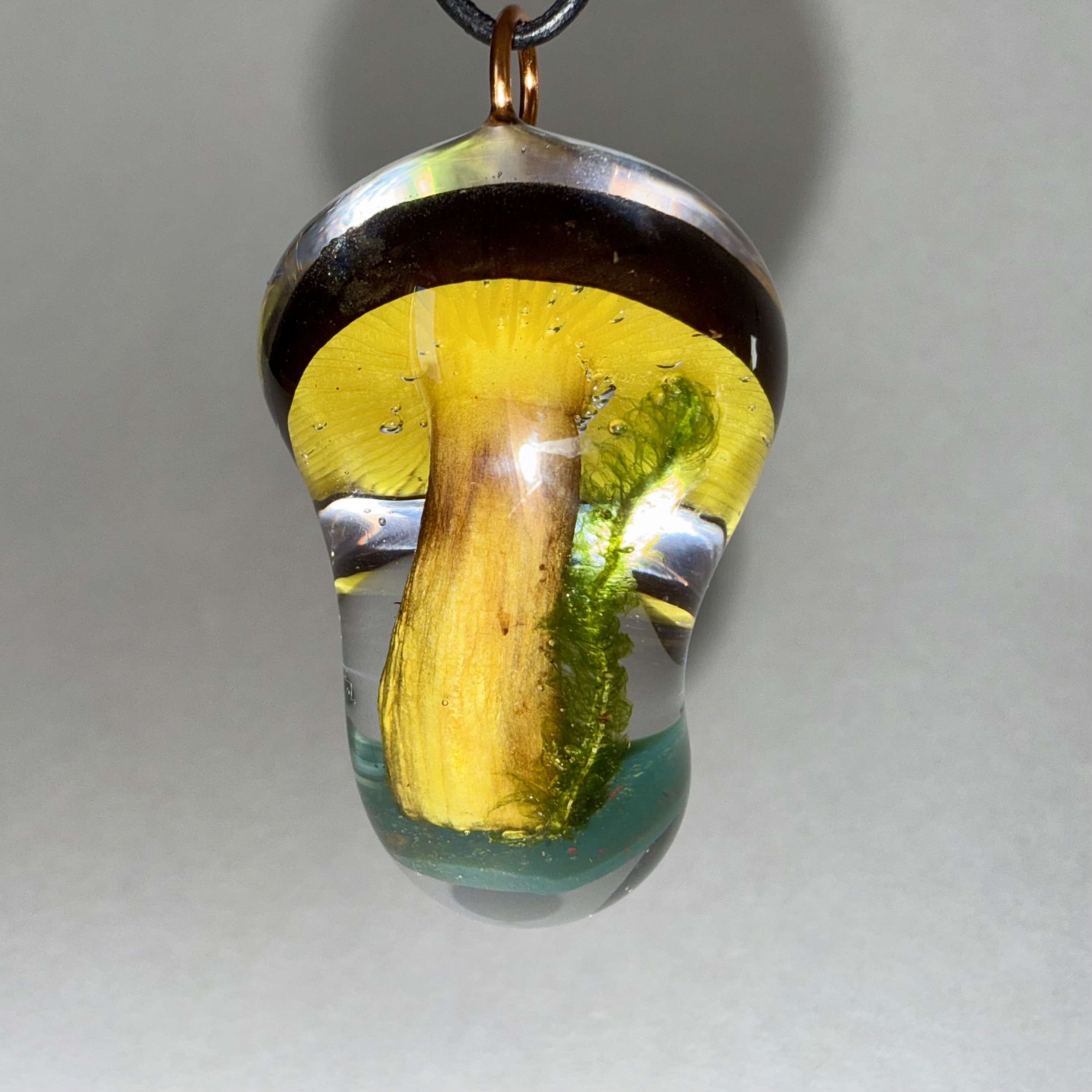 Western Gilled Bolete