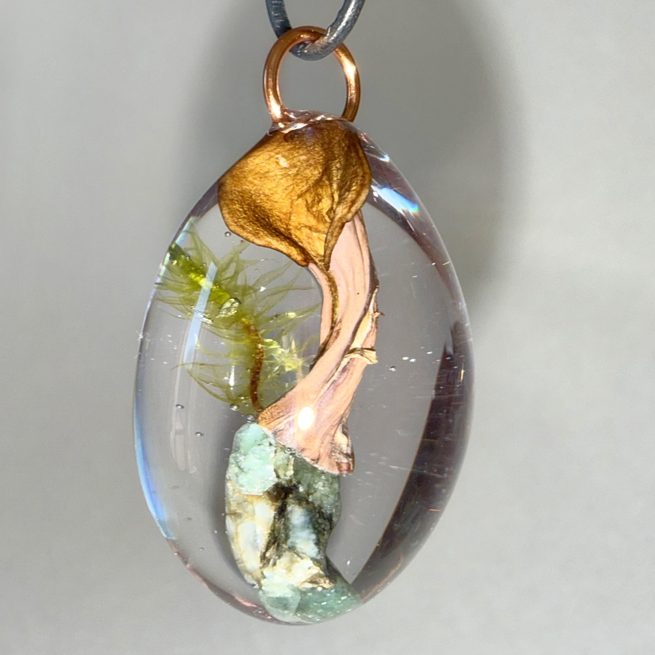 Pig's Ear + Red Veined Moss + Emerald