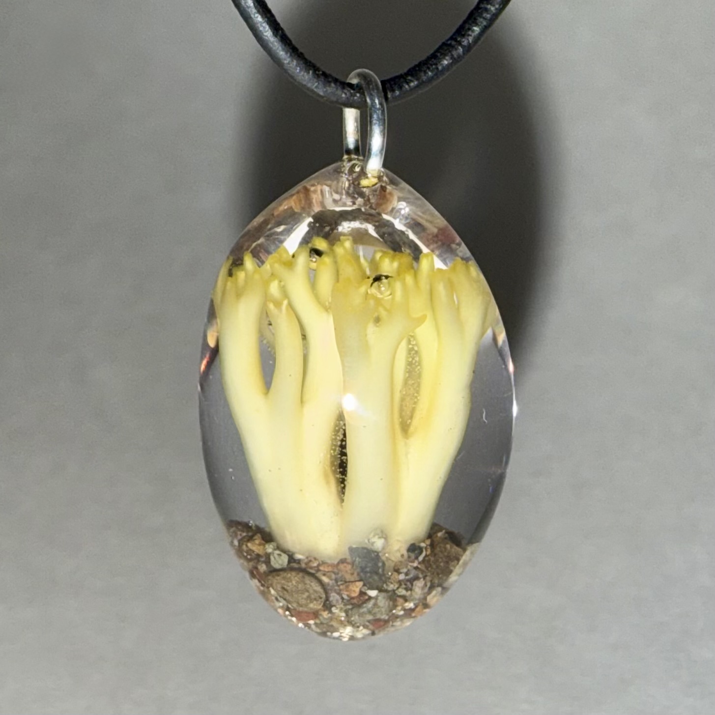 Yellow Coral Mushroom + Sand