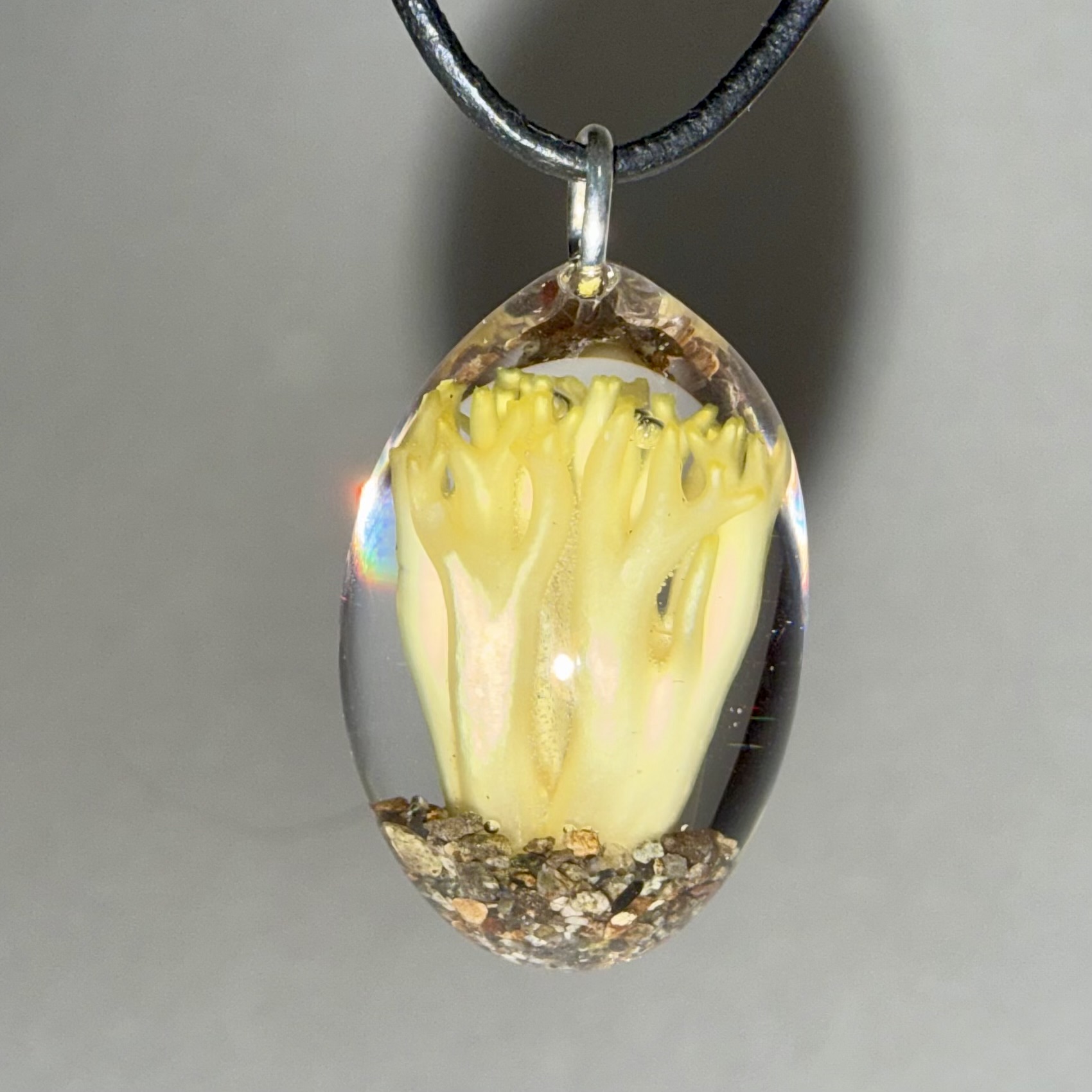 Yellow Coral Mushroom + Sand