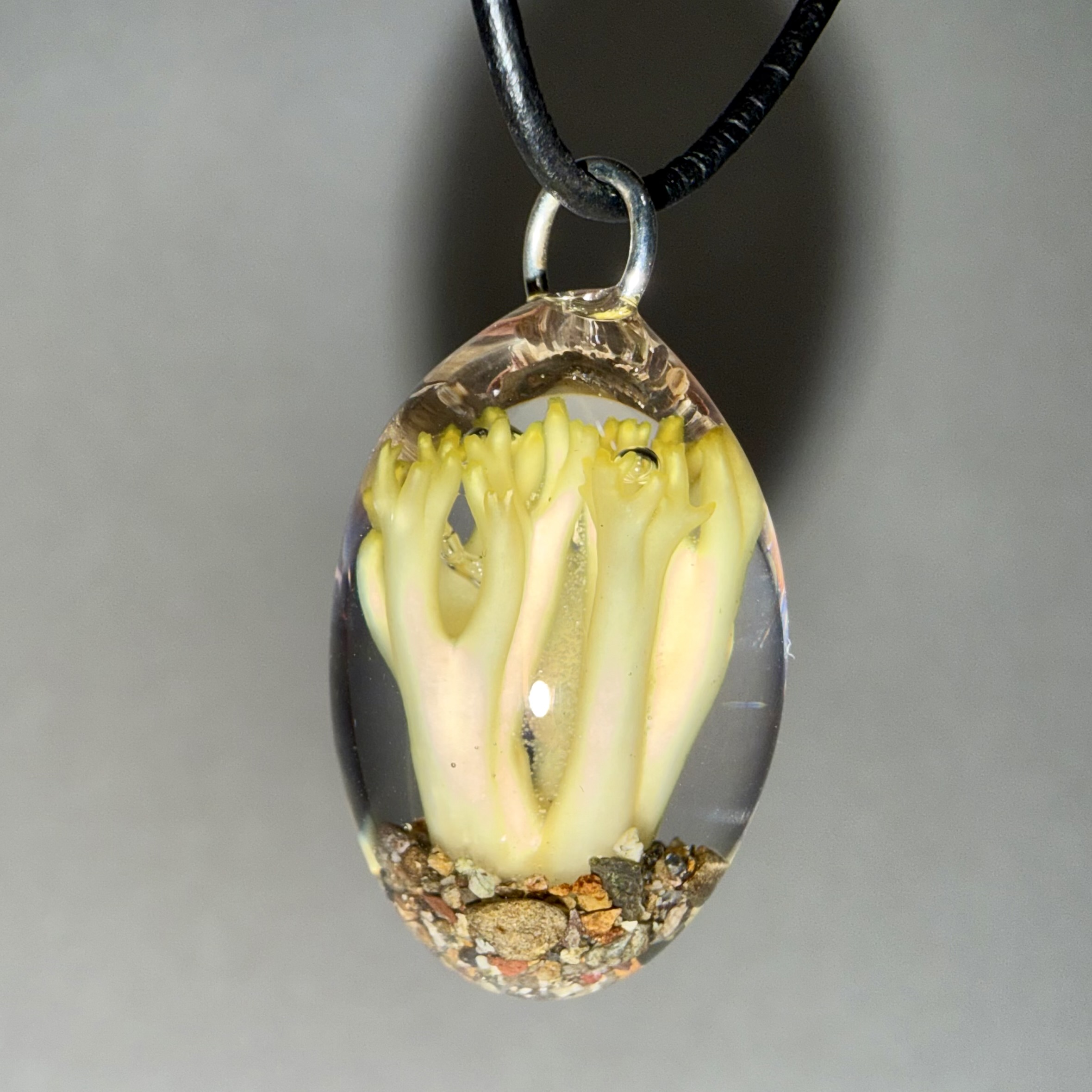 Yellow Coral Mushroom + Sand