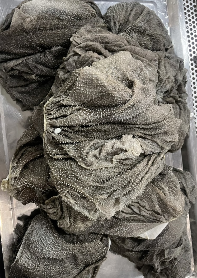 ริ้วดำวัว