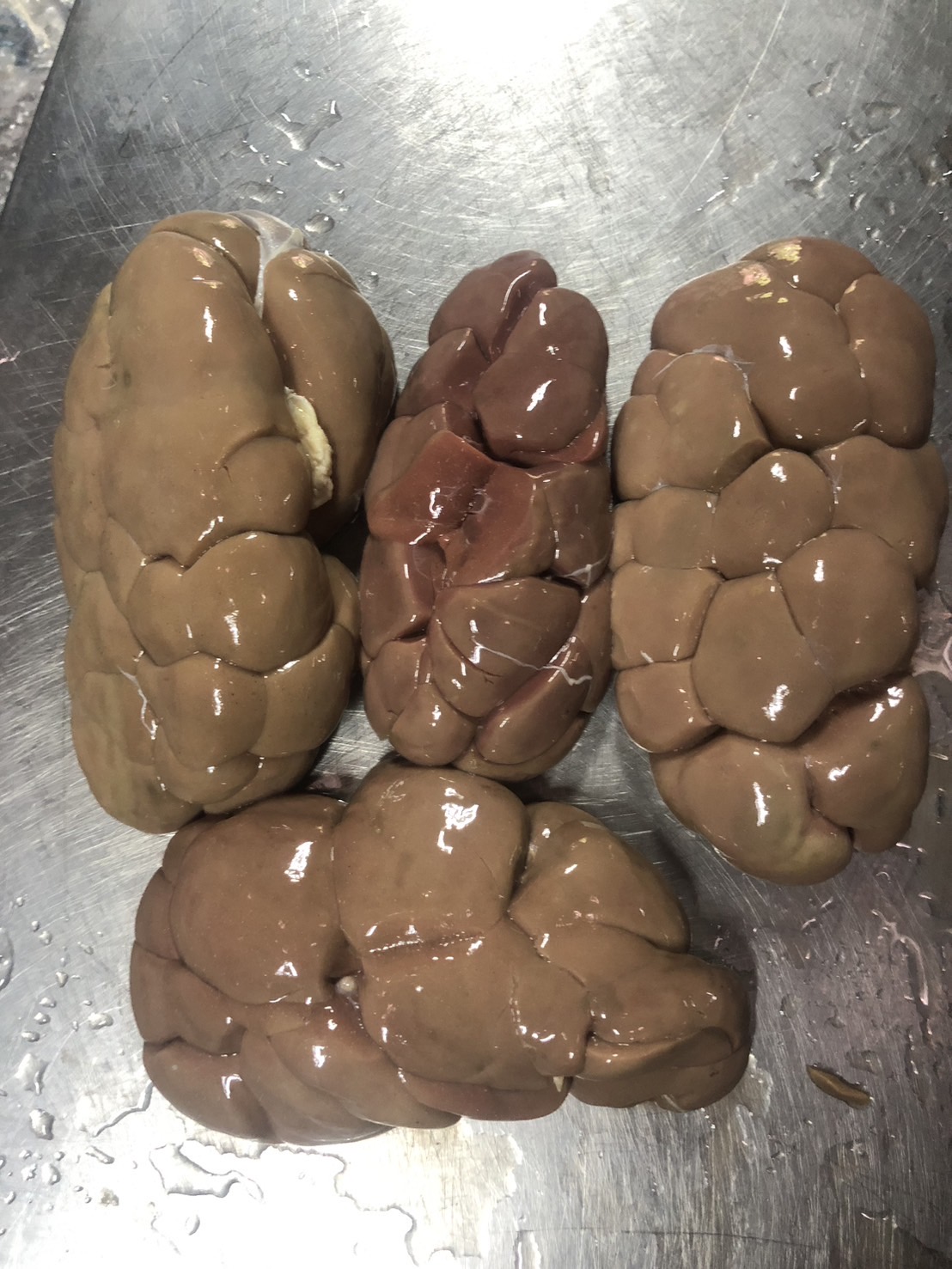 ไต/เซียงจี๊วัว