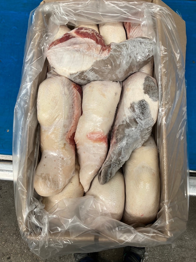 ลิ้นดำวัว