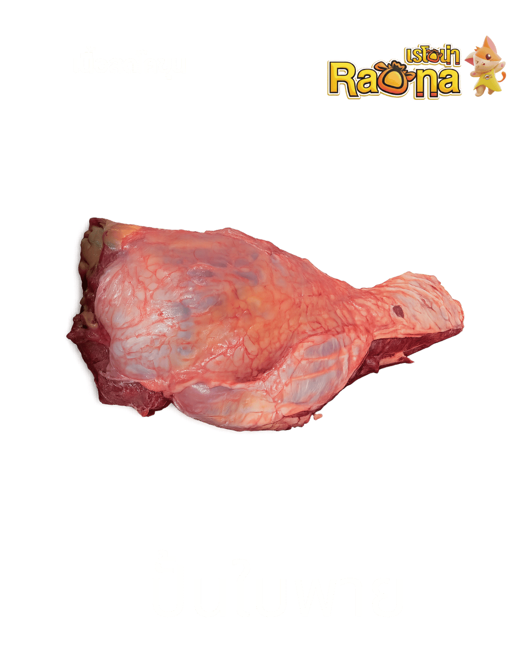 ปั้นใบพาย