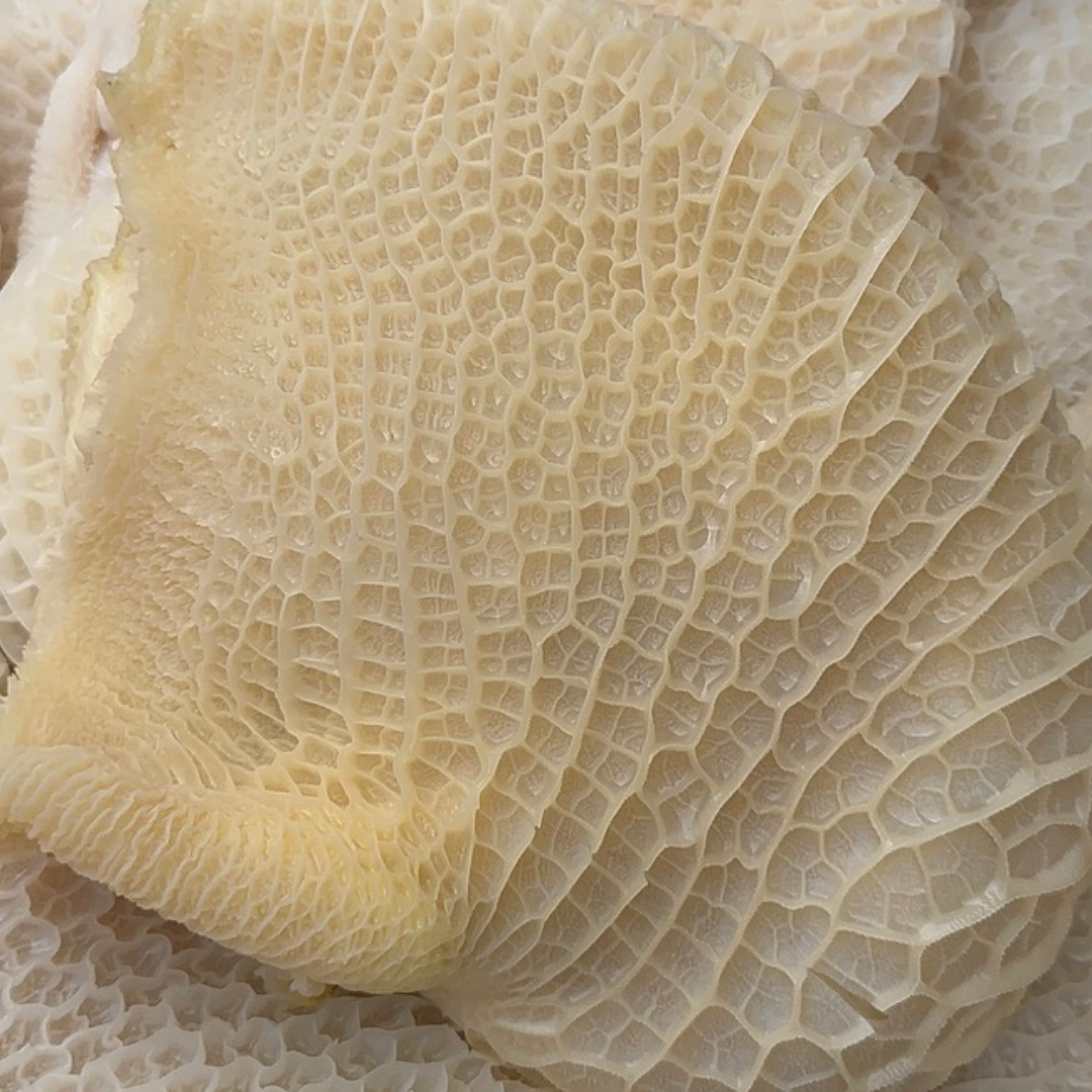 ดอกจอกเด้ง