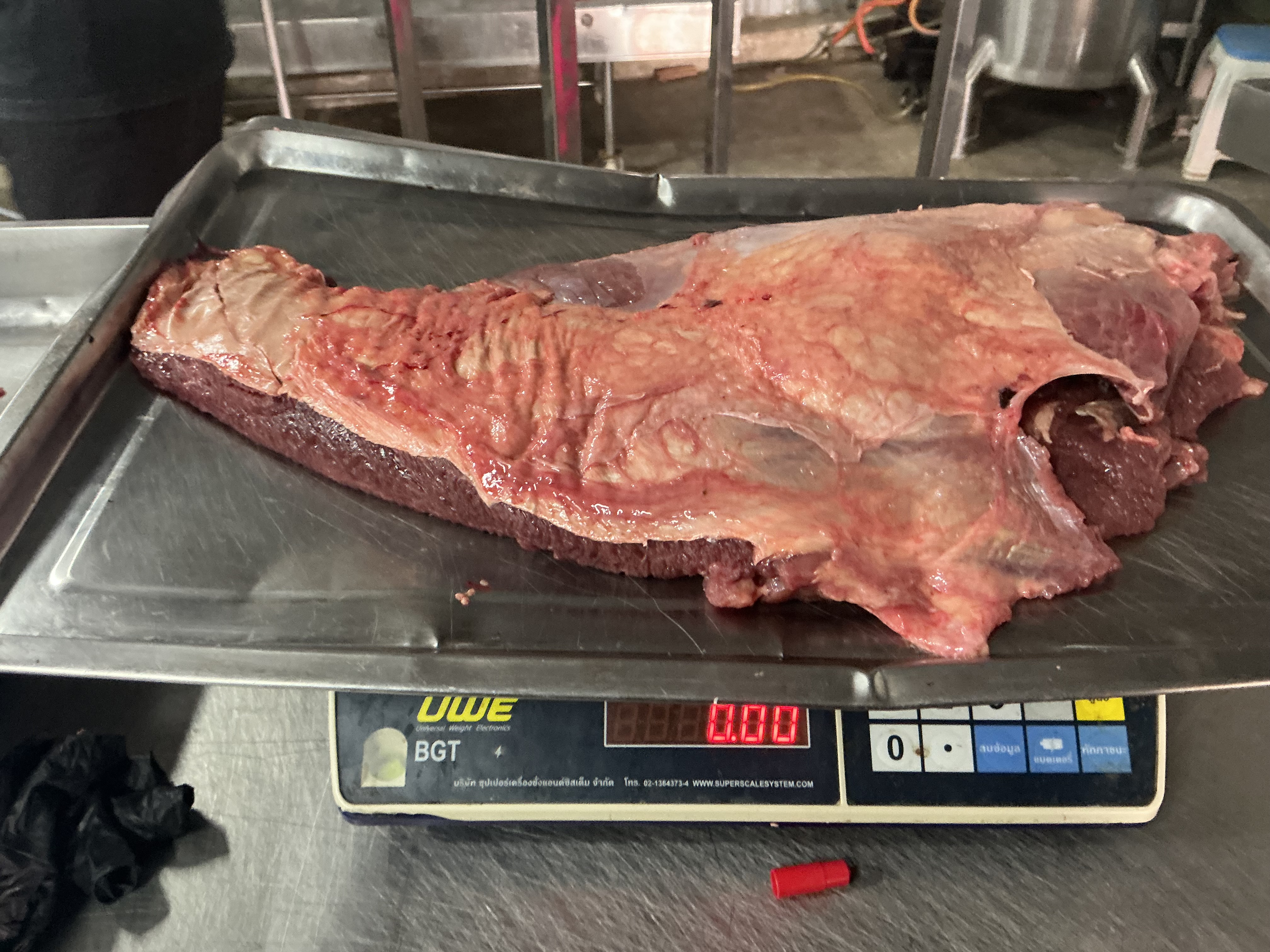 ปั้นใบพาย