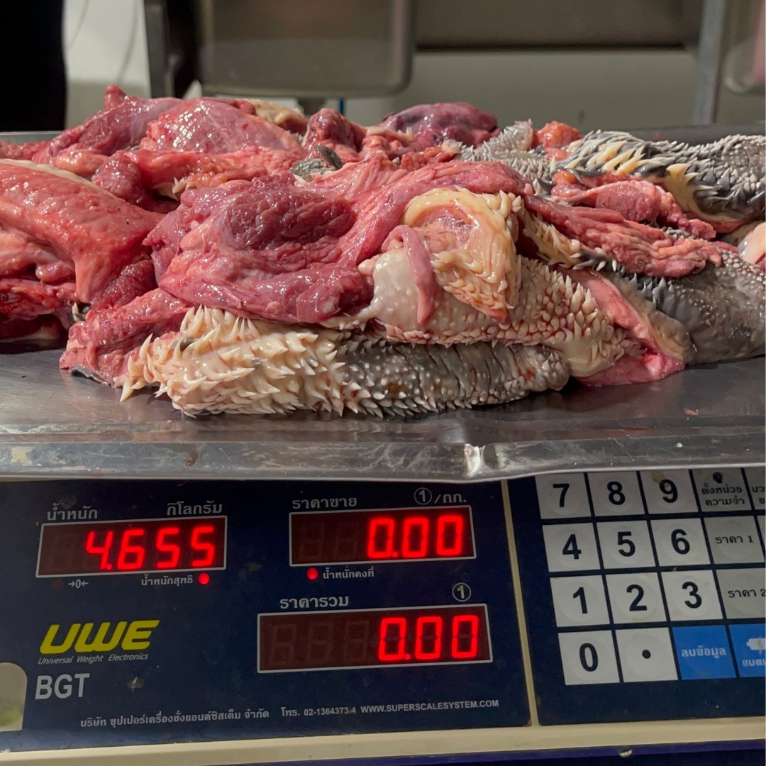 ปากหนามวัวสดโคขุน