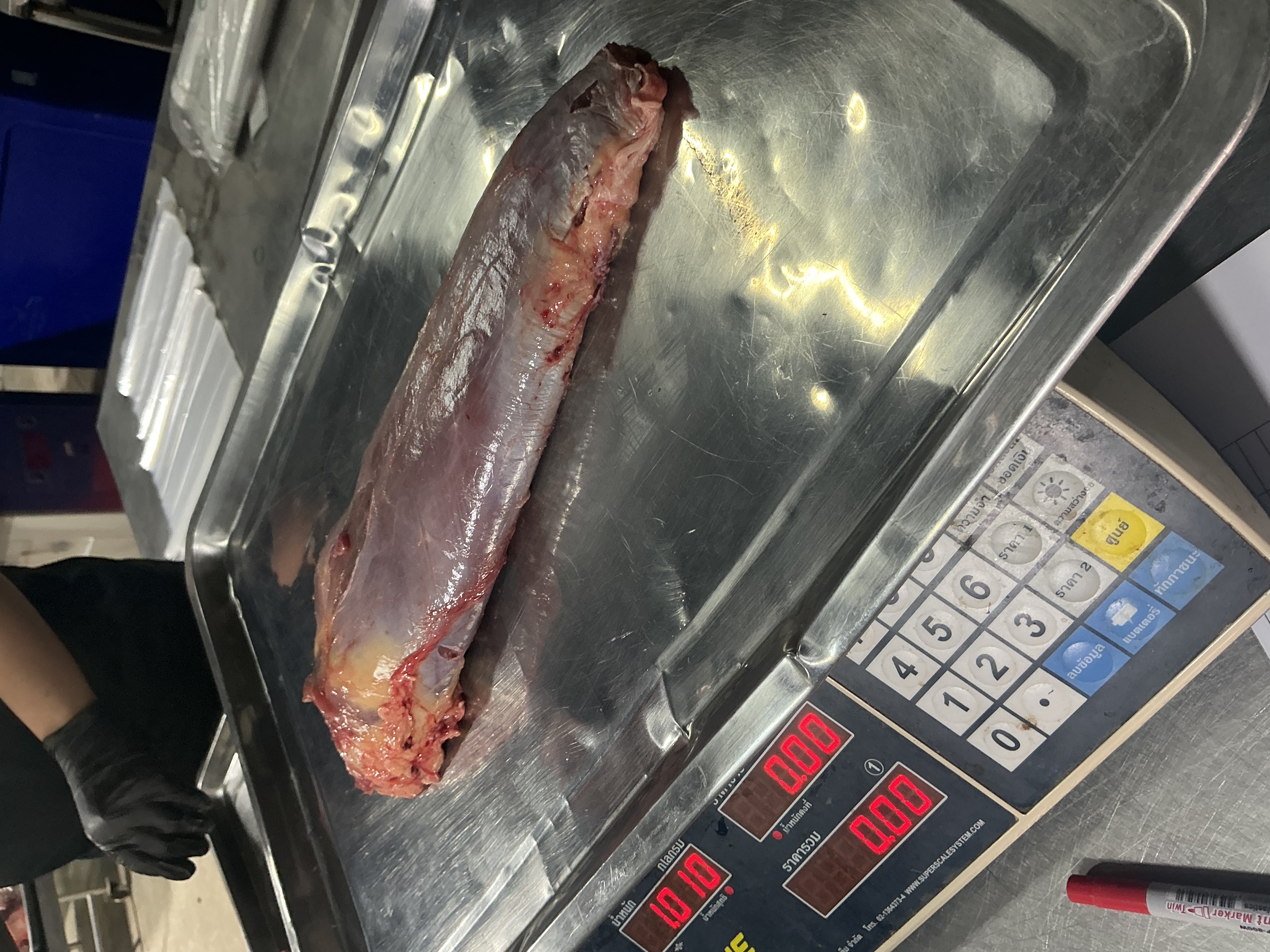 ปั้นดินสอ