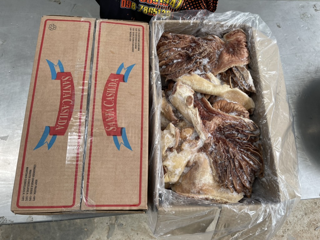 มะเฟืองวัว