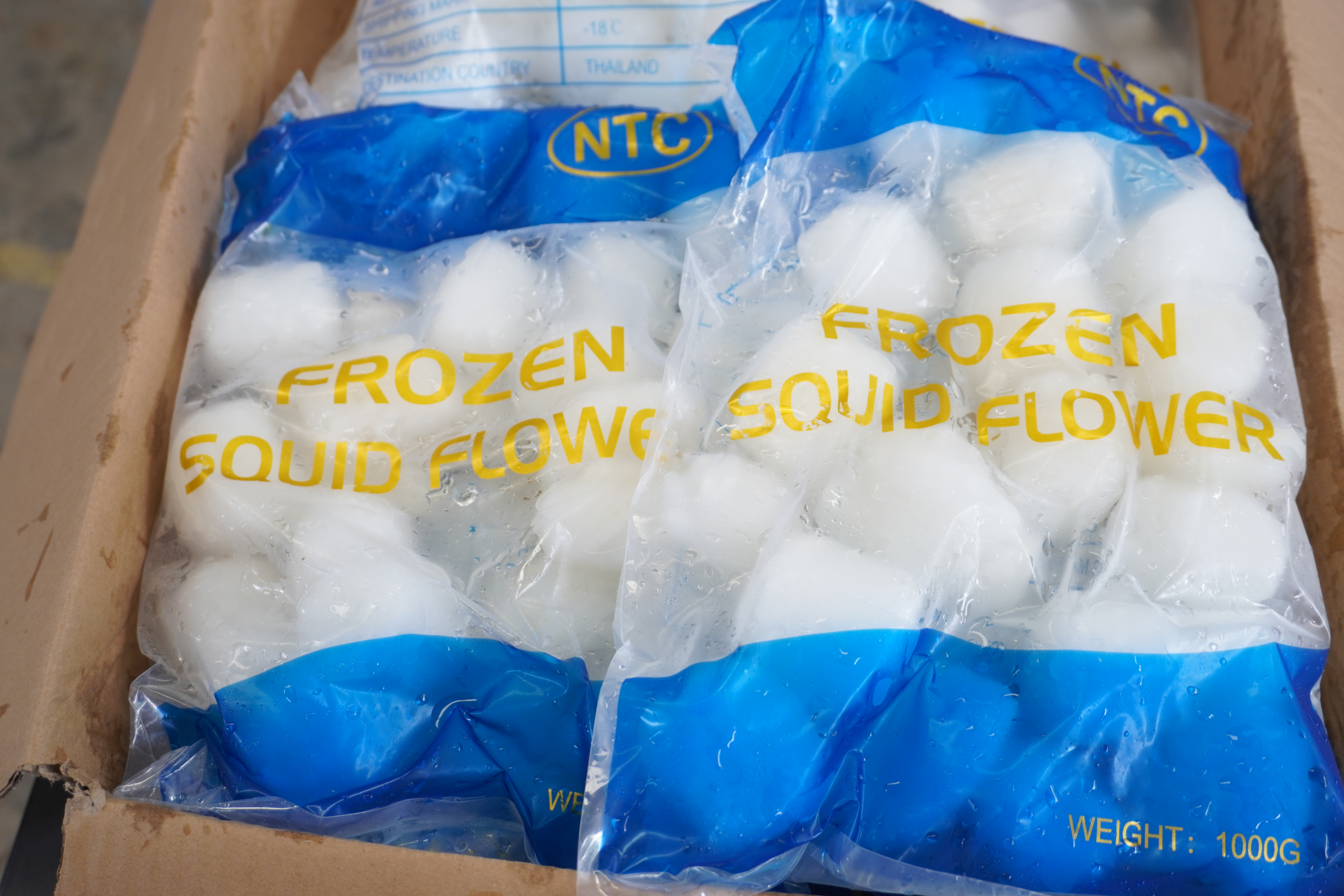 หมึกบั้ง