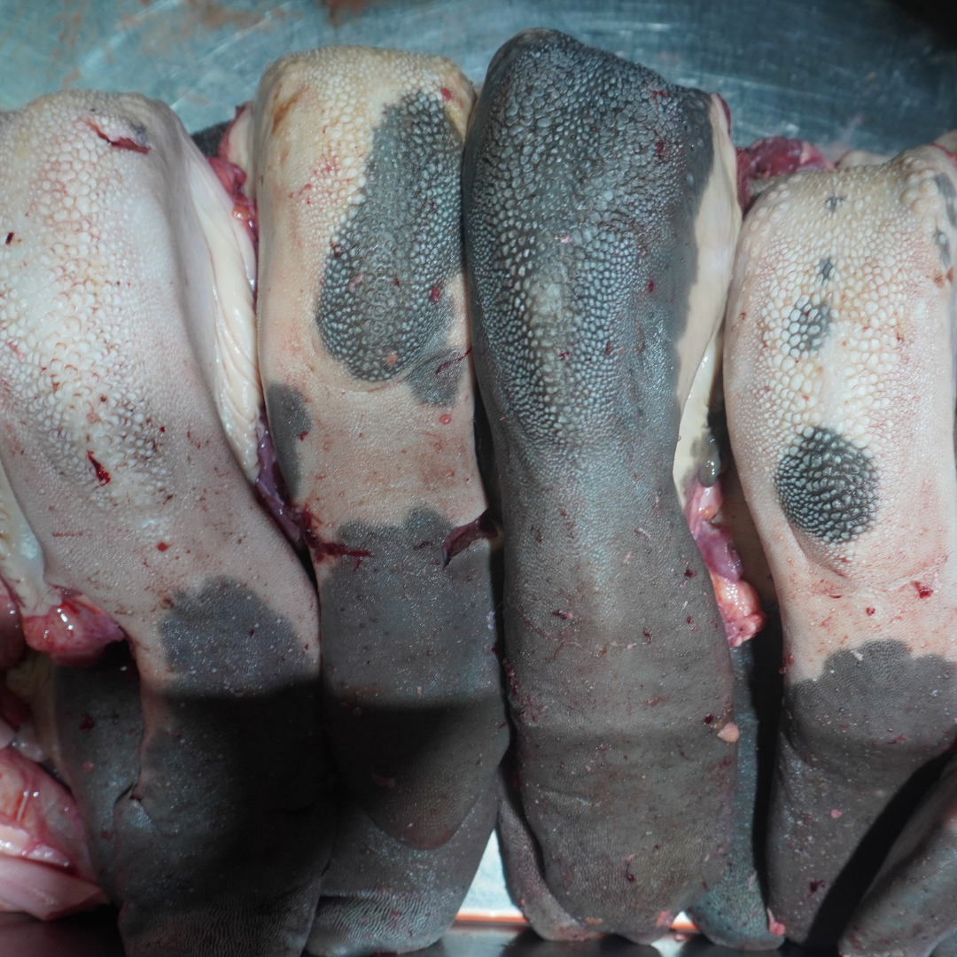 ลิ้นวัวสดโคขุน