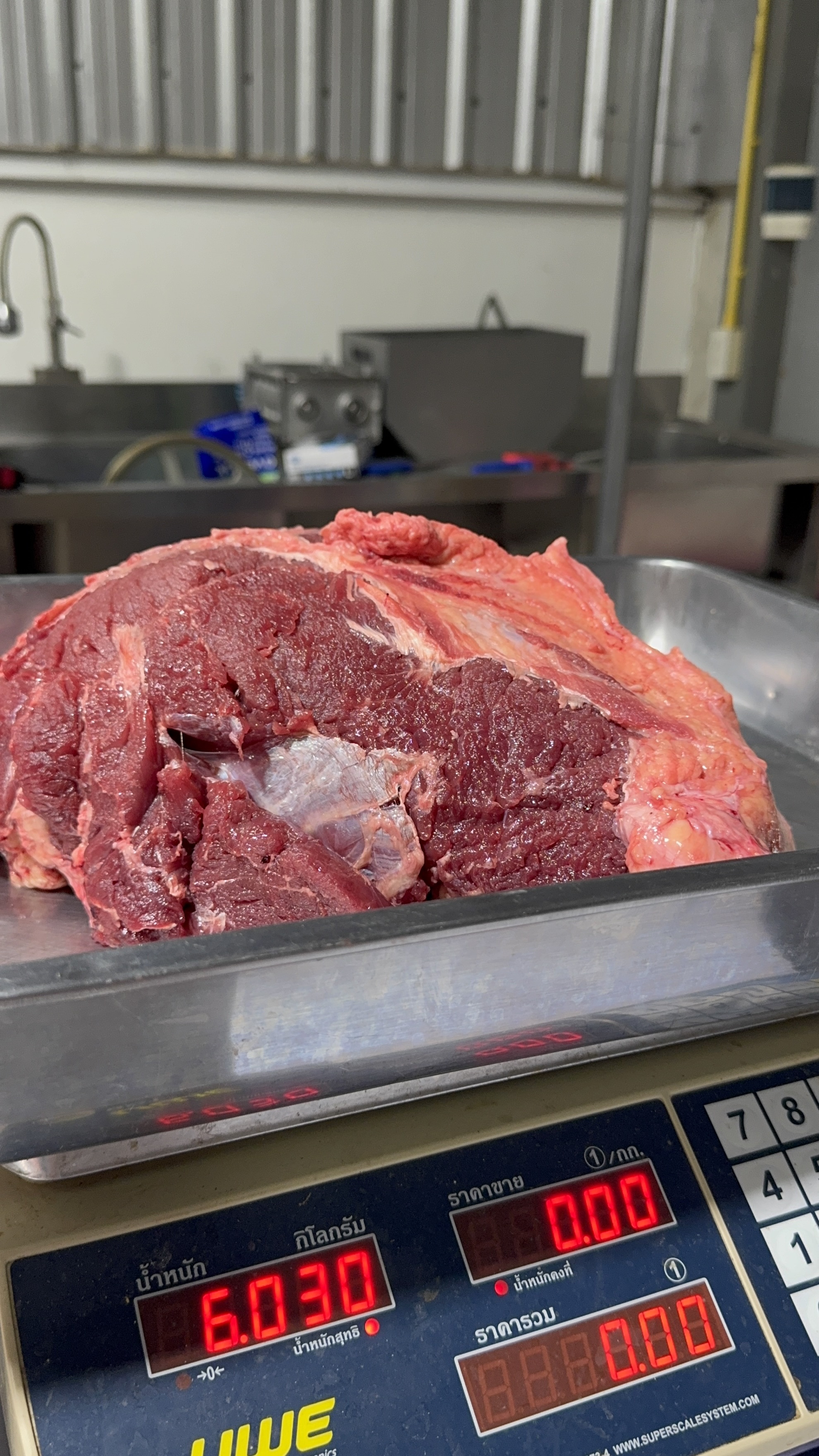 ปั้นสะโพกโคขุน