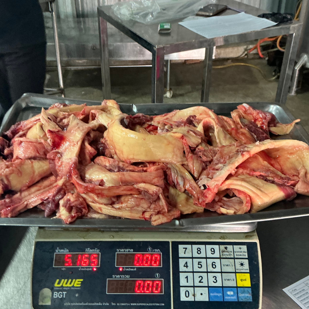 เอ็นเหลืองสดโคขุน