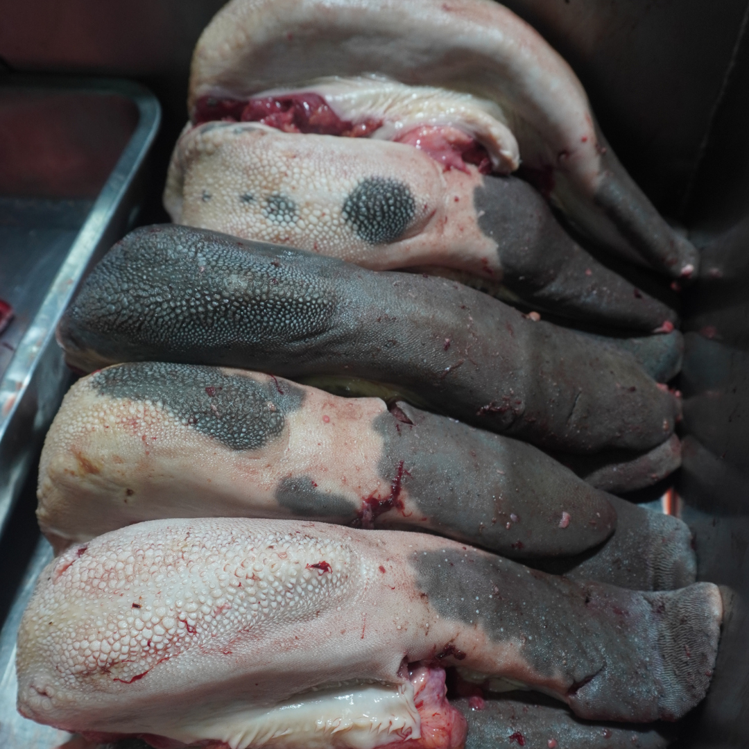 ลิ้นวัวสดโคขุน