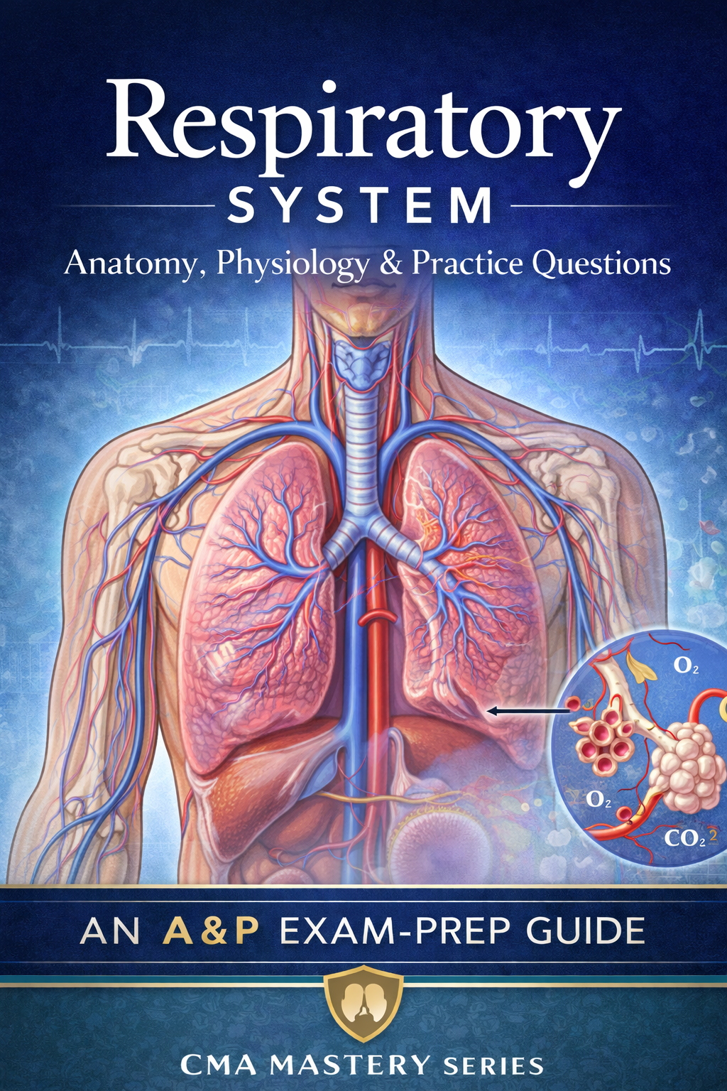 Respiratory System Digital Prep Guide