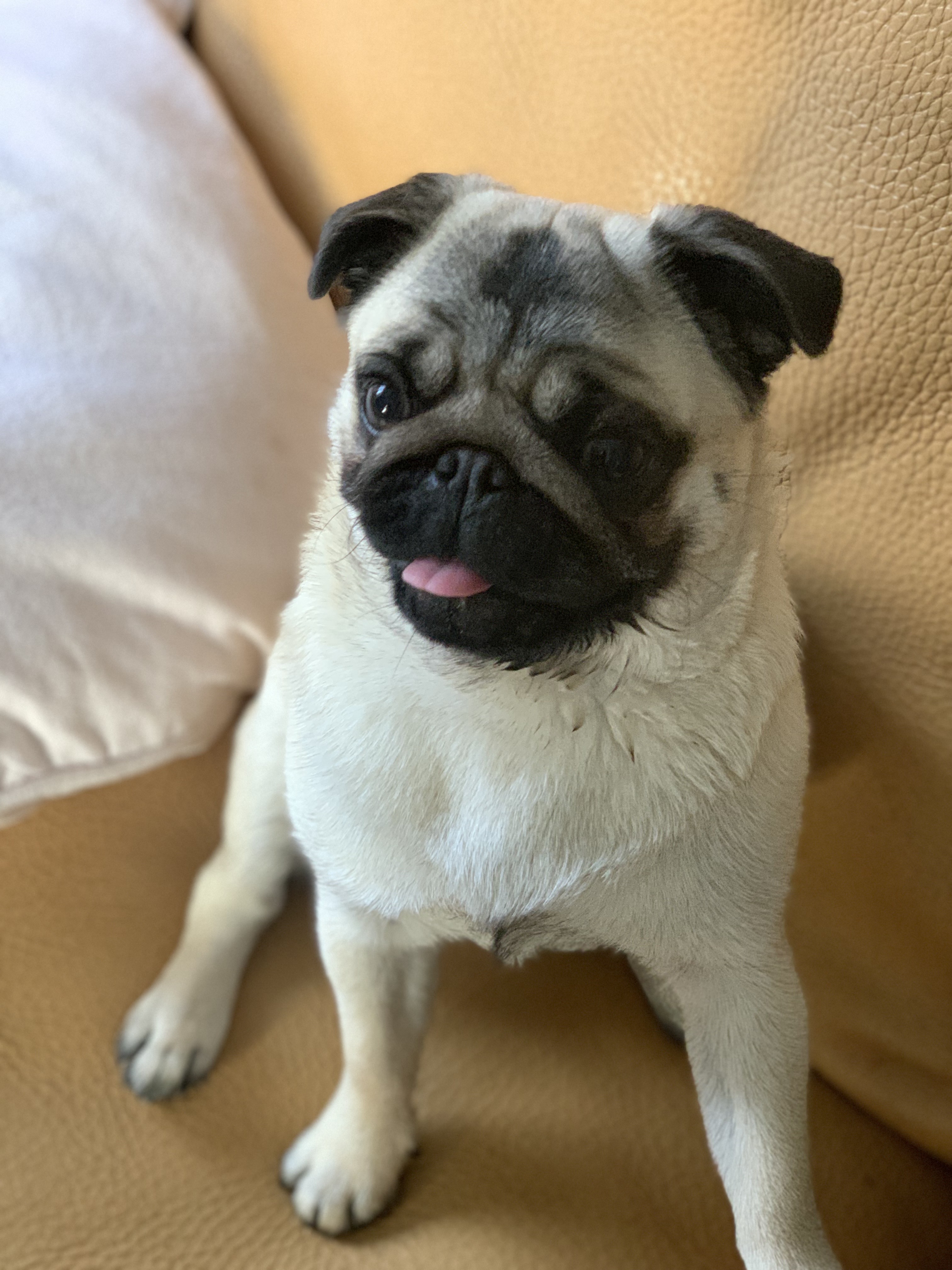 consultation Nutrition