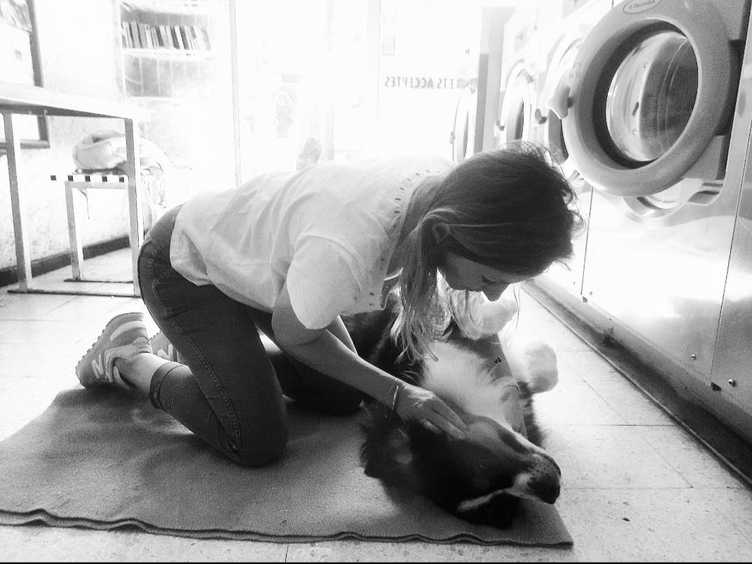 Consultation Carnivores