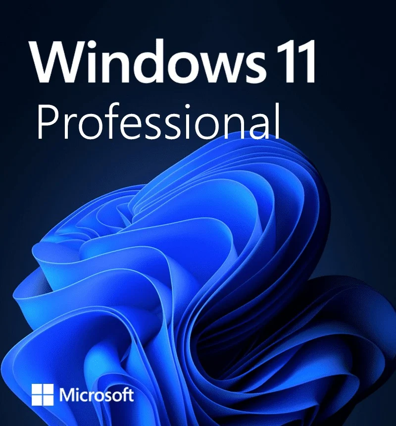 Microsoft Windows 11 Professional