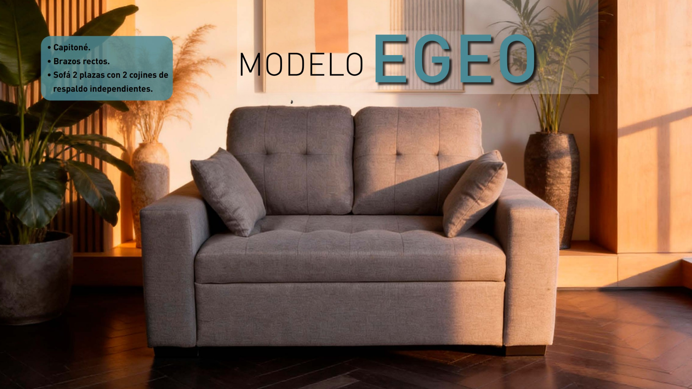 Sofás modernos de 2 y 3 plazas con estilo y confort