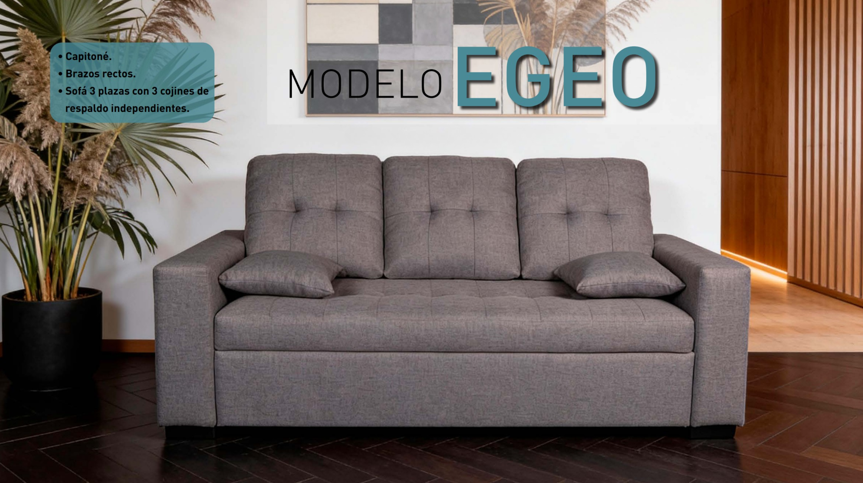 Sofás modernos de 2 y 3 plazas con estilo y confort