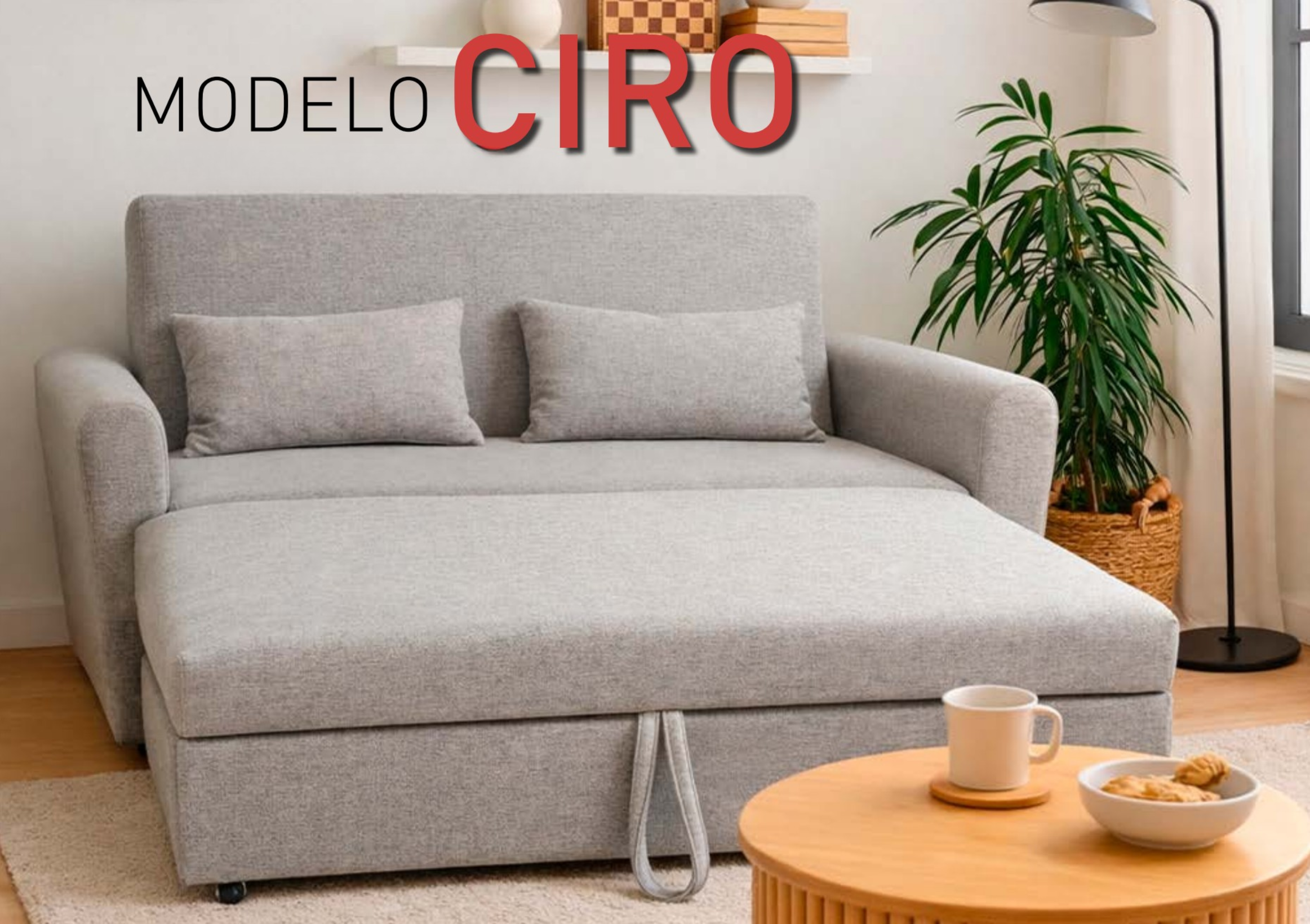 Sofá cama con brazos