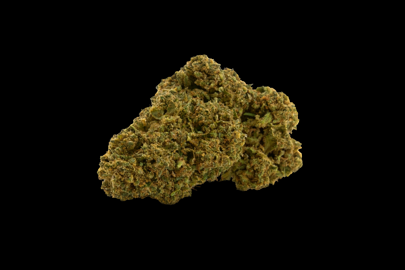 Jack Herer