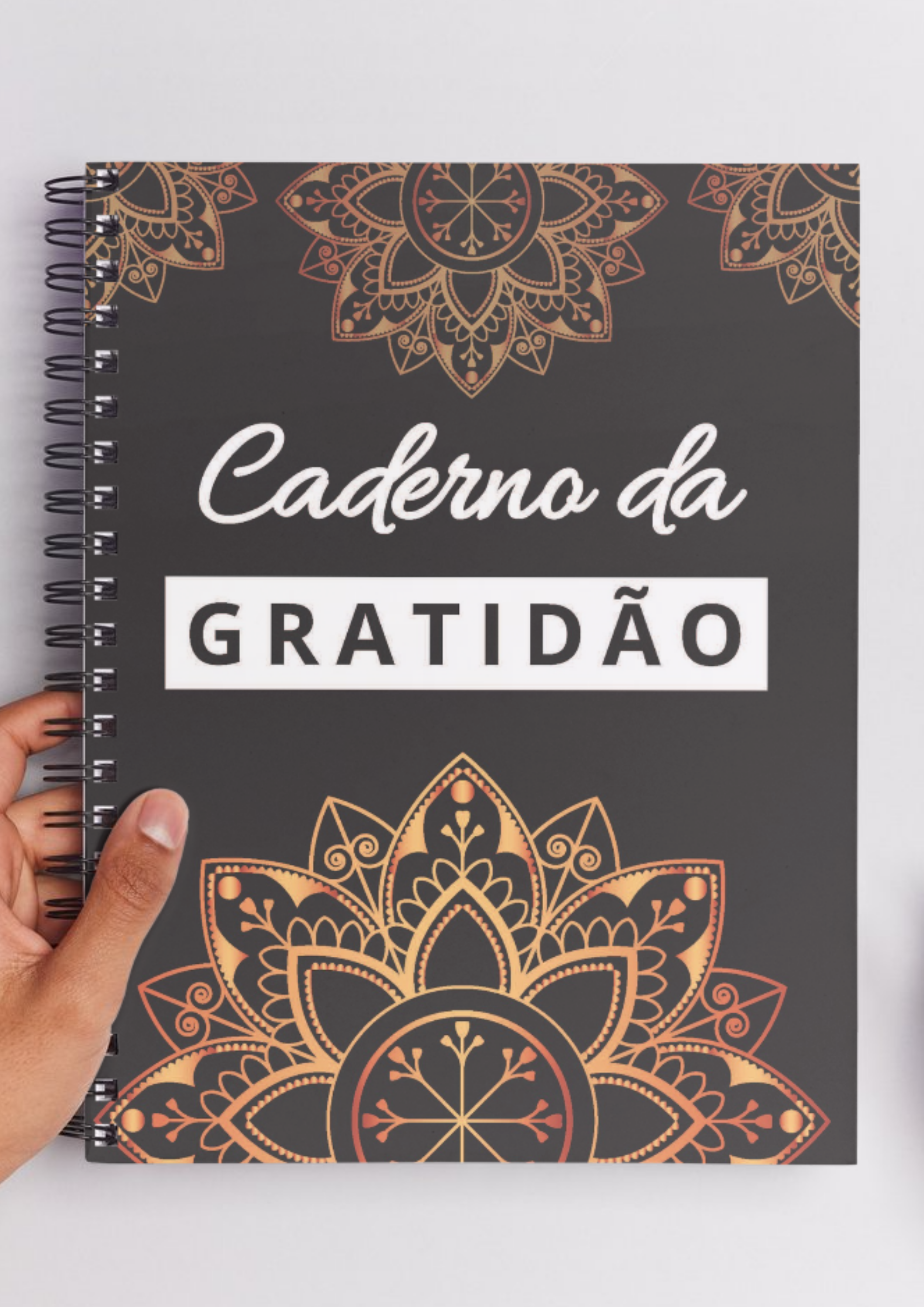 Caderno da Gratidão v1