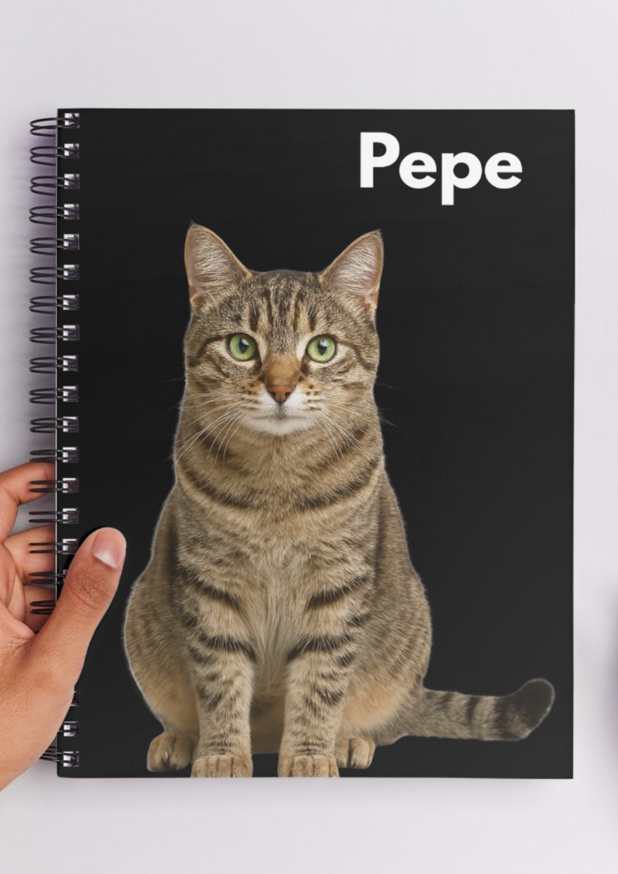 PET v4