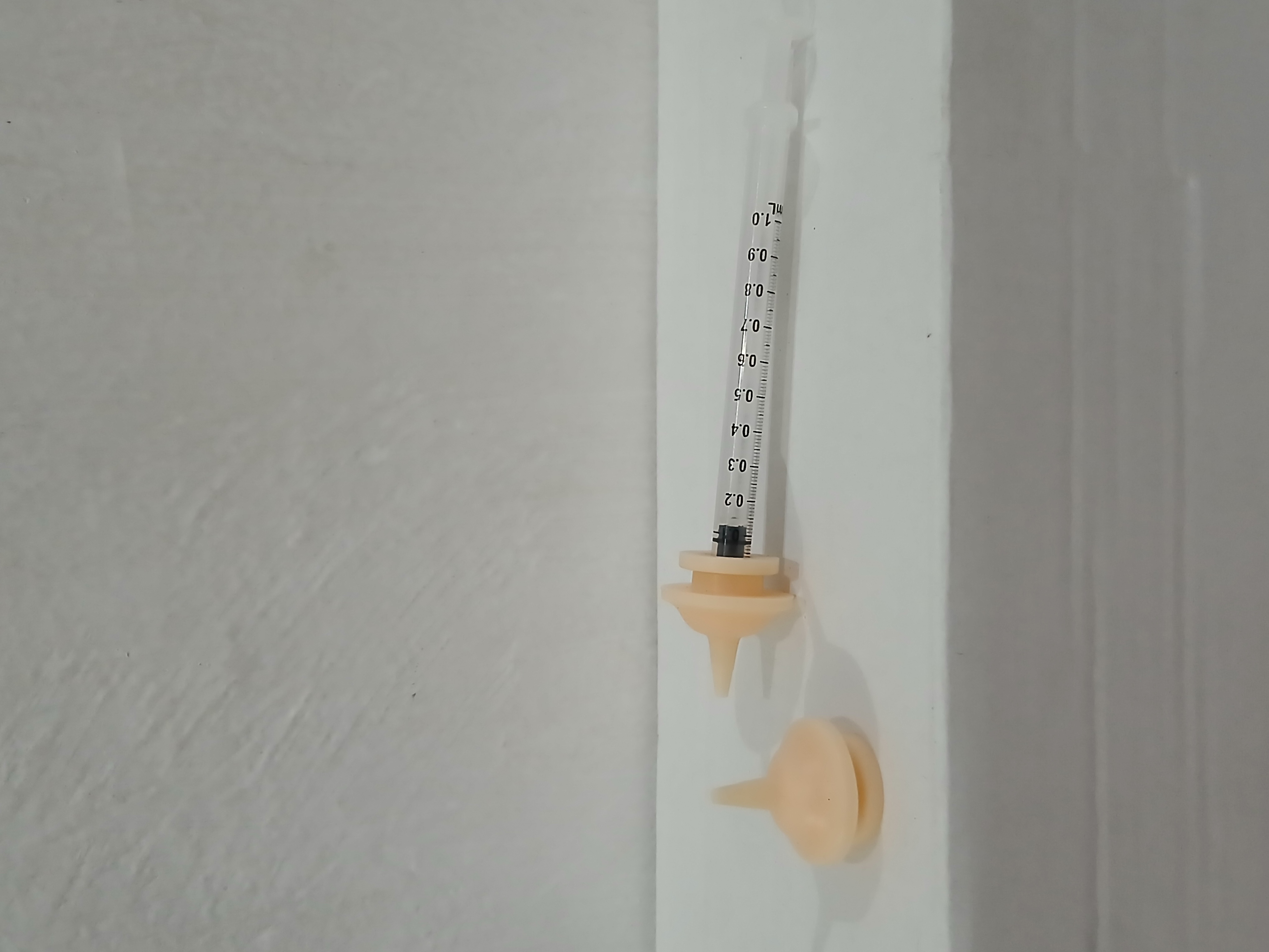 Kepala Dot Untuk Anak Kucing