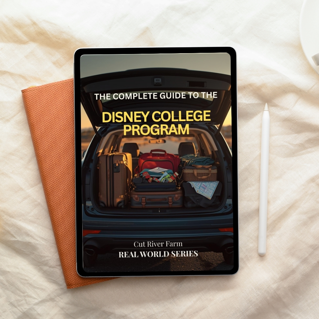The Complete Guide to the Disney College Program – Housing, Pay & What to Expect (eBook)