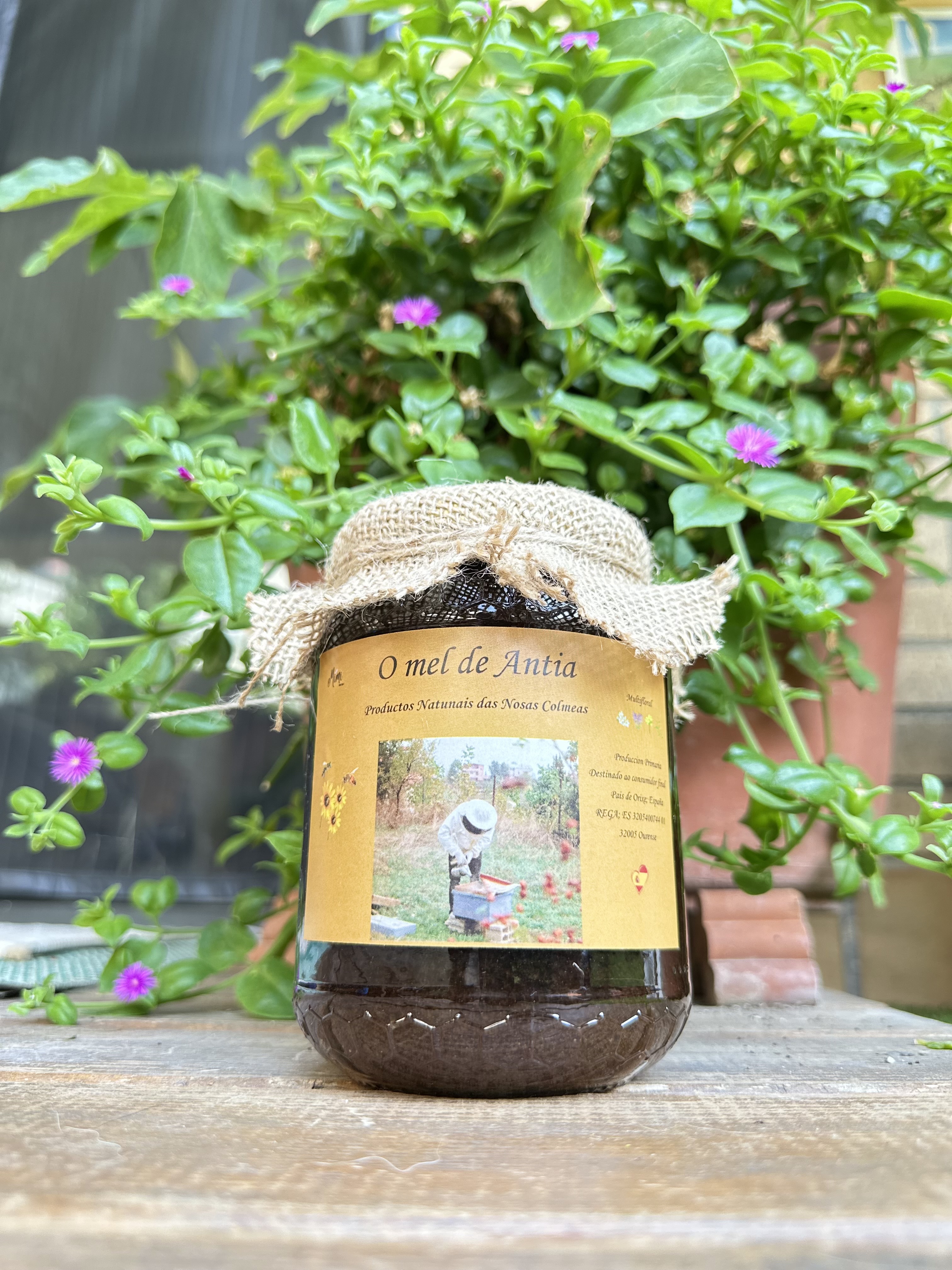 Miel pura natural de 1 kgr. Mil flores