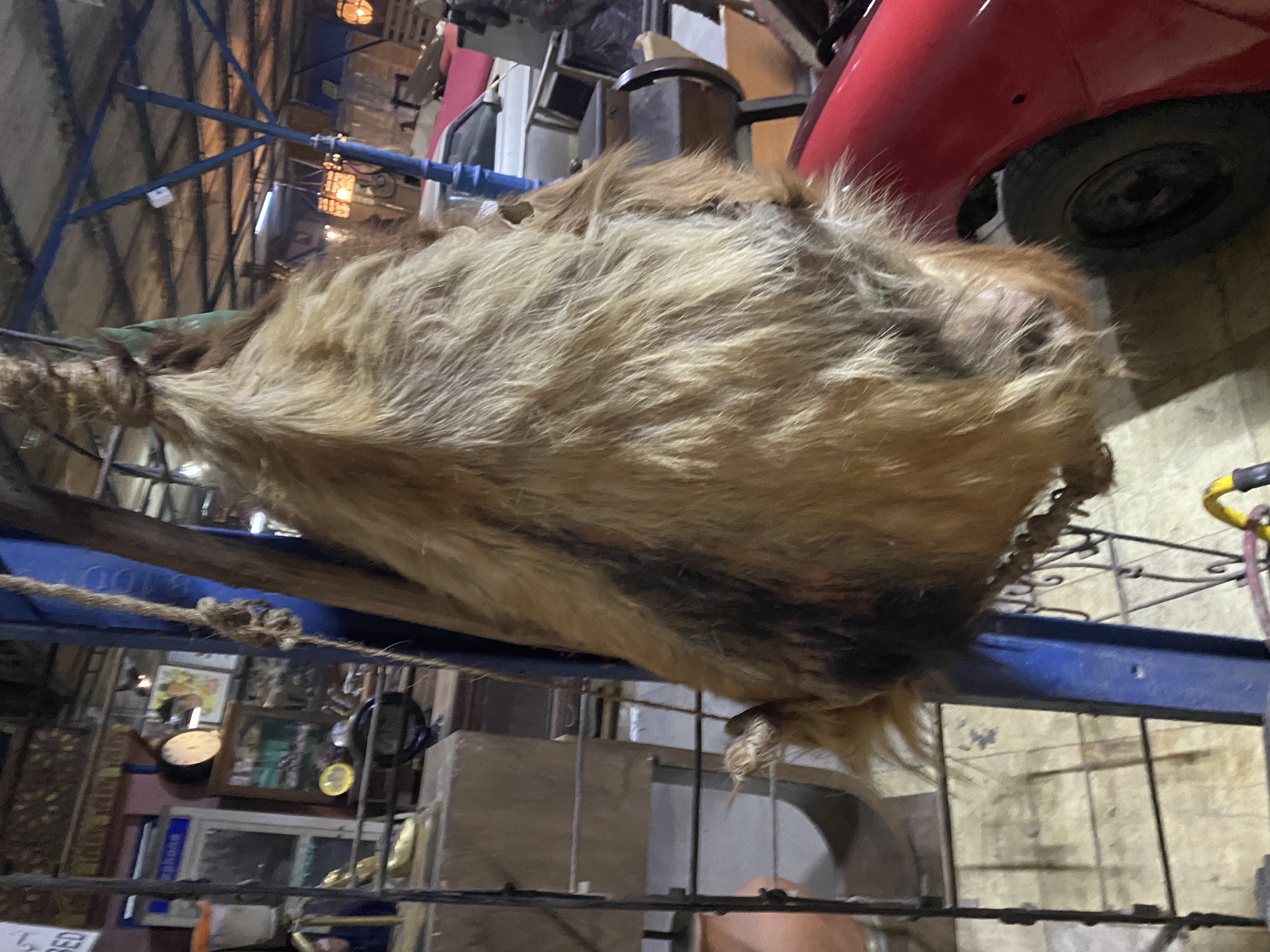 Traditional Goat Hide